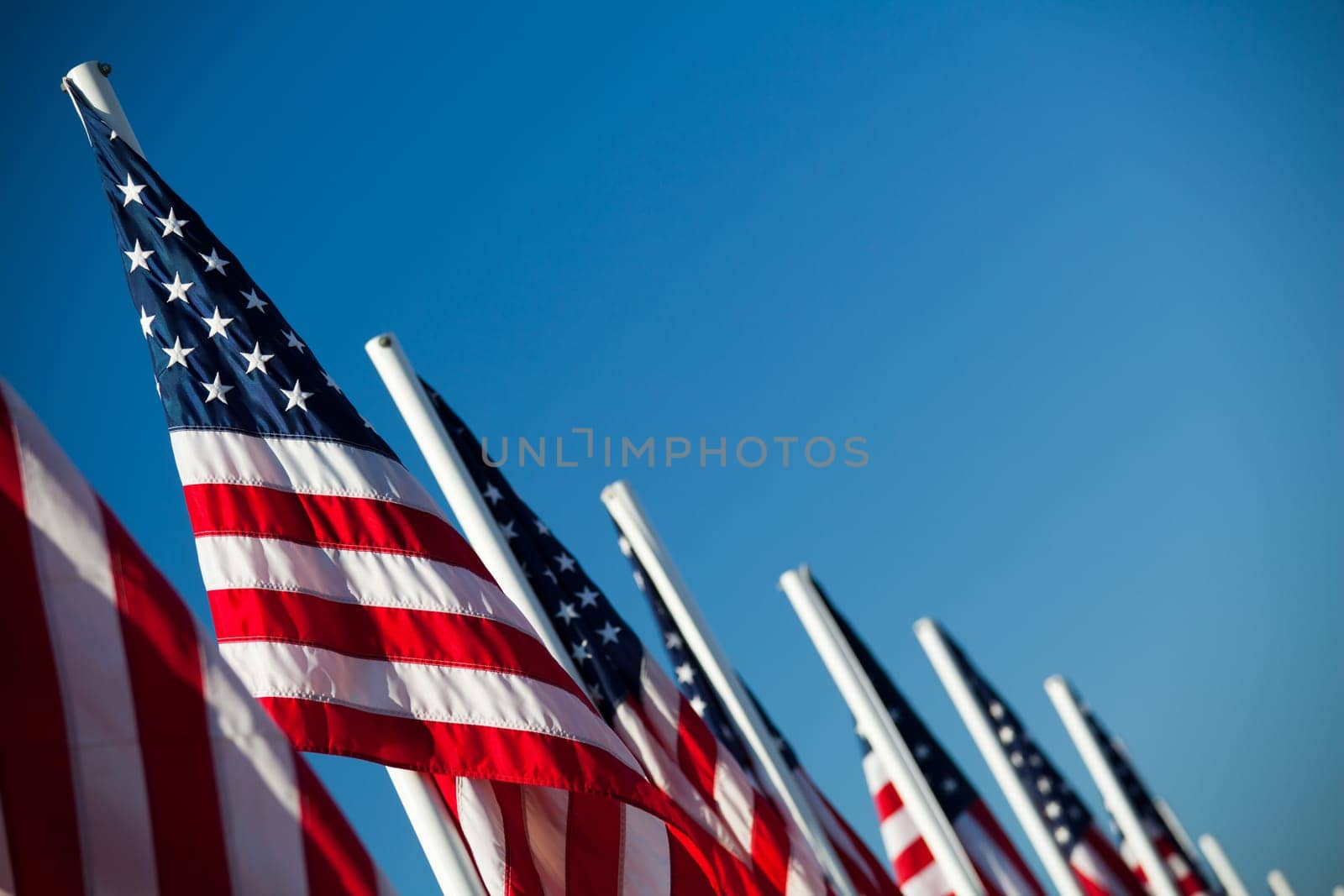 USA American flags in a row