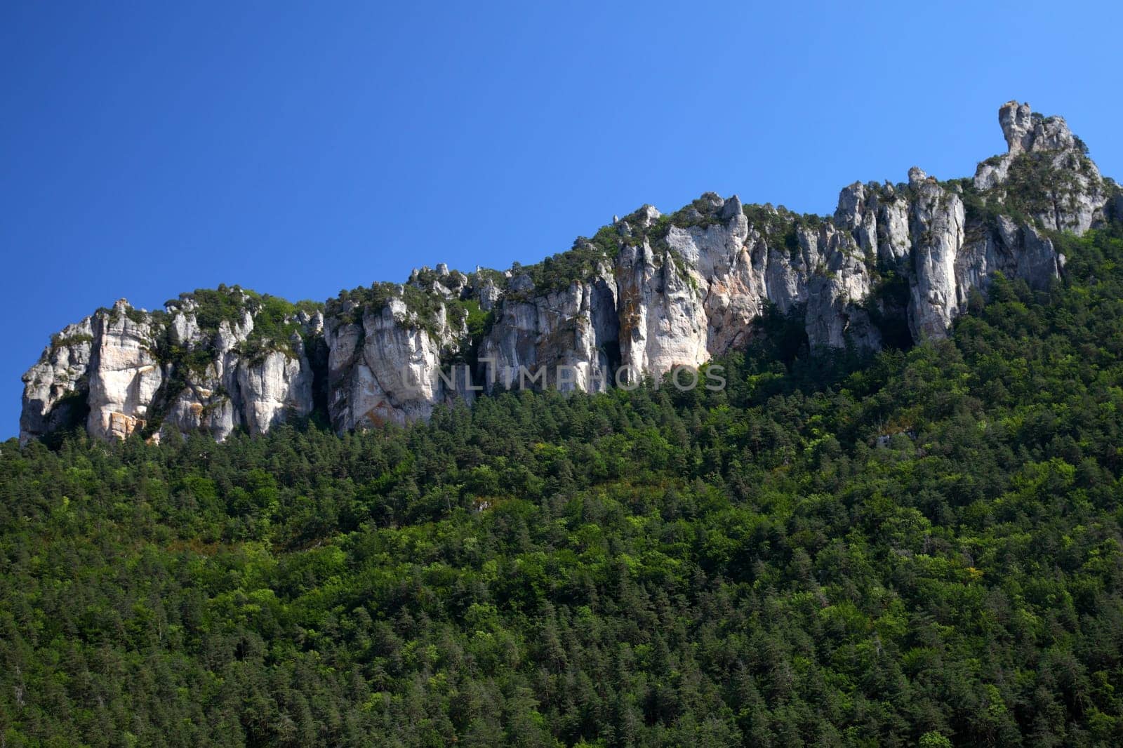 Causses
