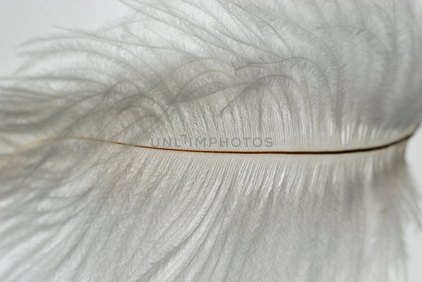 light as a feather