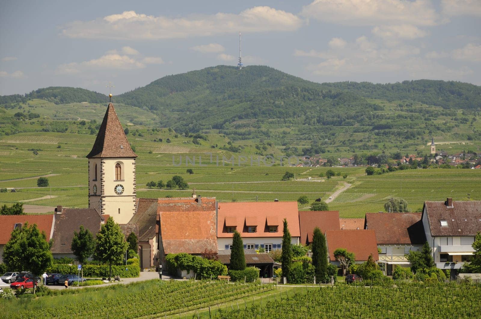 Vineyards and church in Burkheim am Kaiserstuhl
