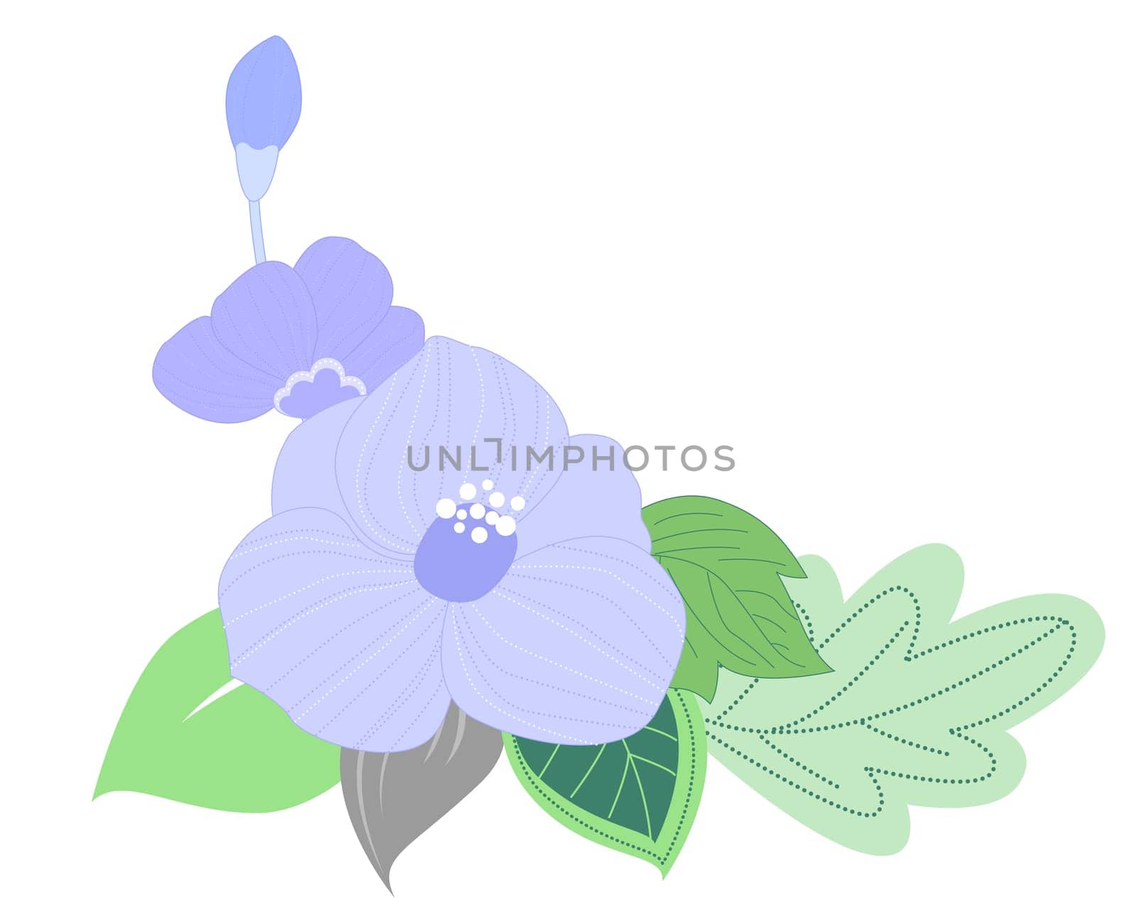 blue flower