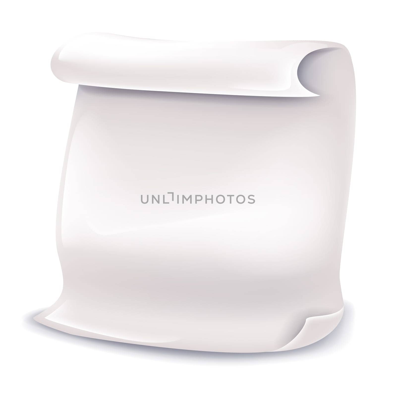 blank roll paper