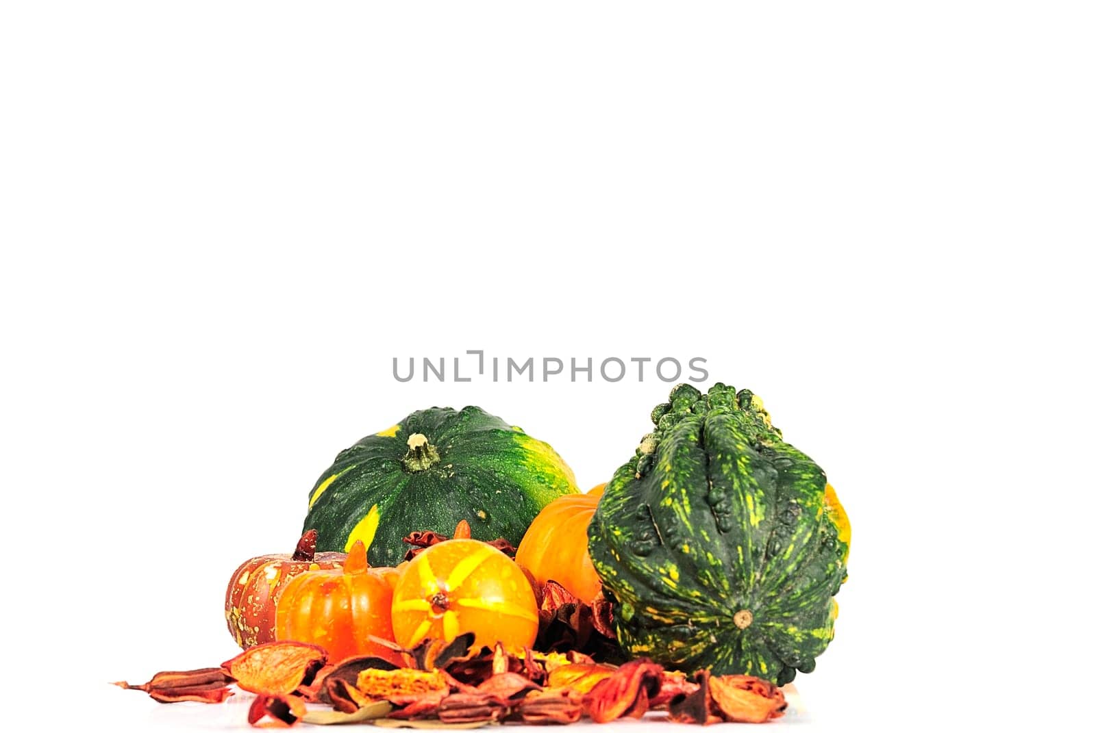 Autumn Decoration 21