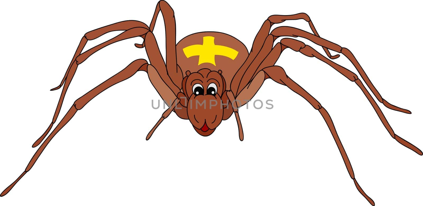 spider
