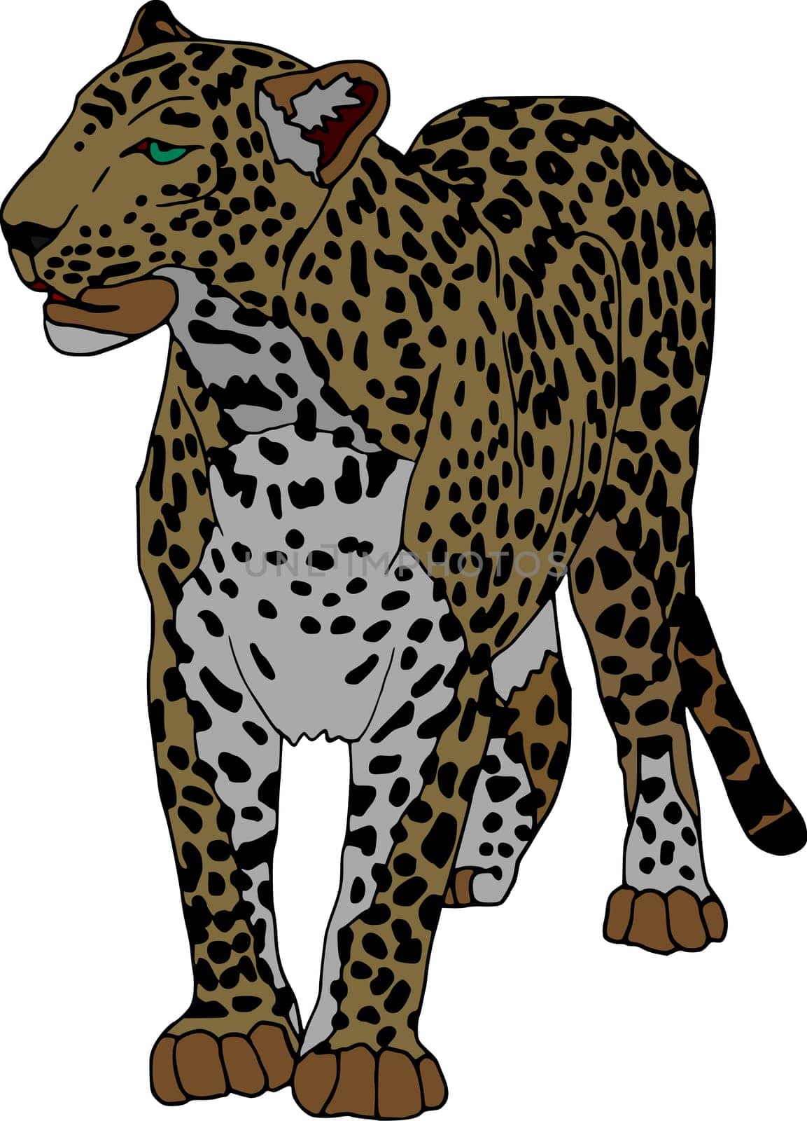 panthera
