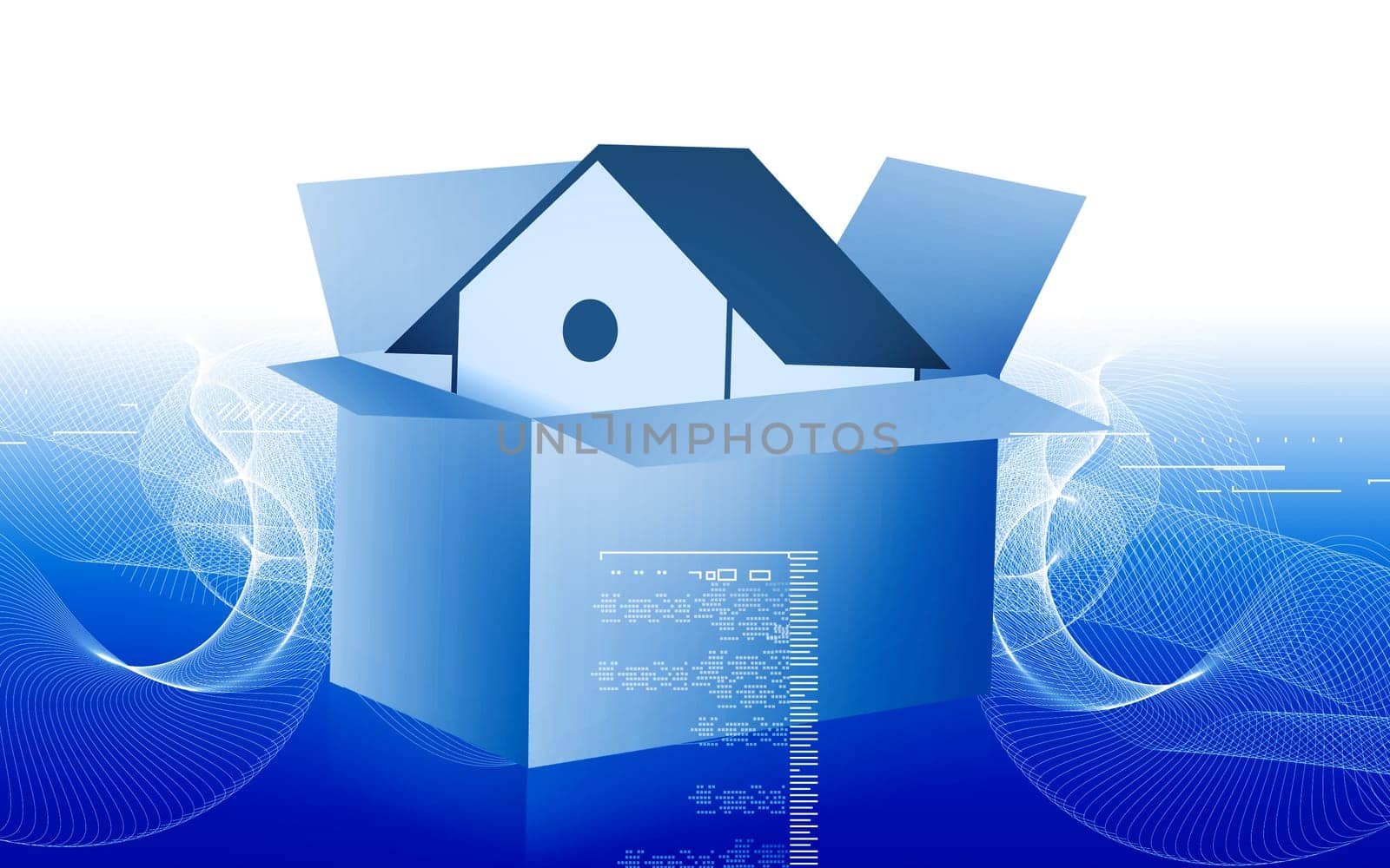 house in a cardboard box