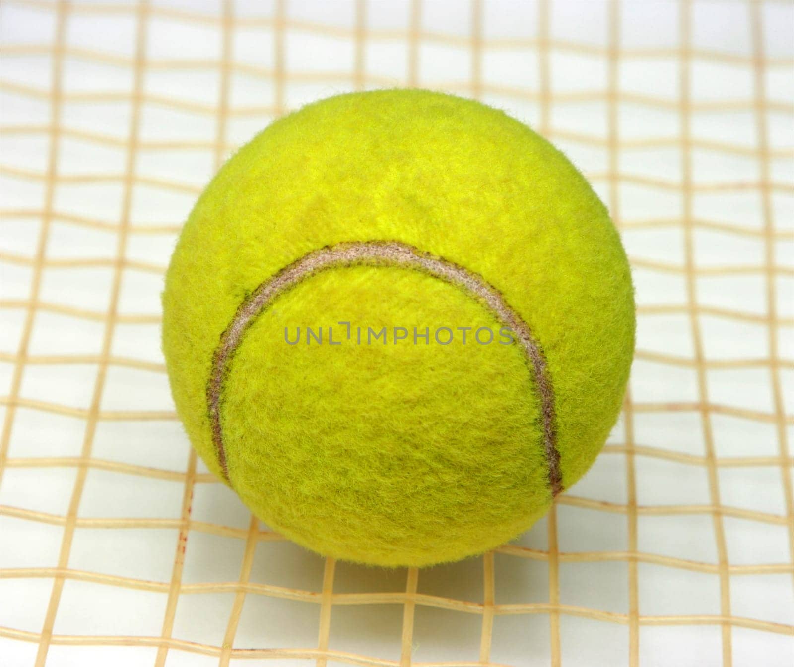 Tennis ball on the racket