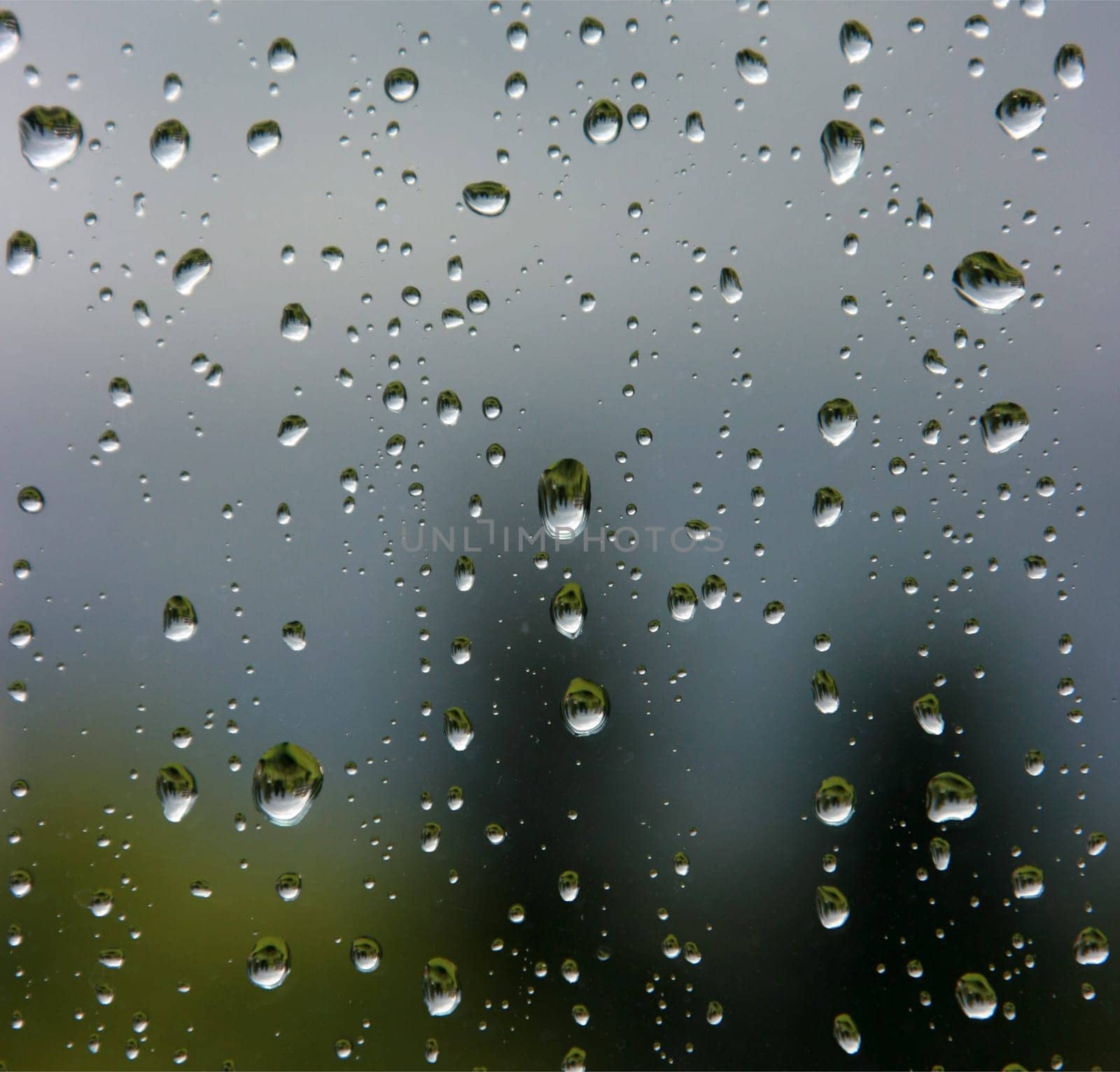 Raindrops on the window