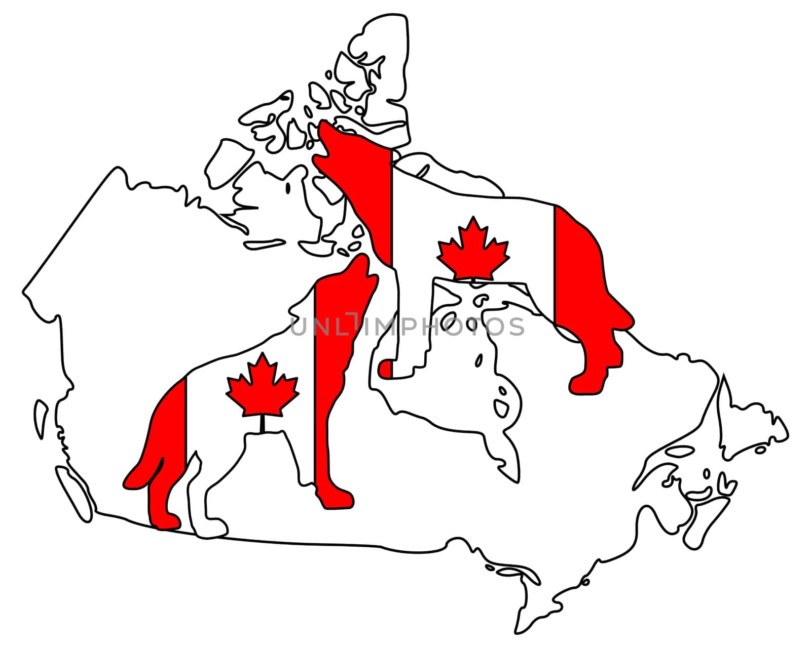 Canadian Wolves