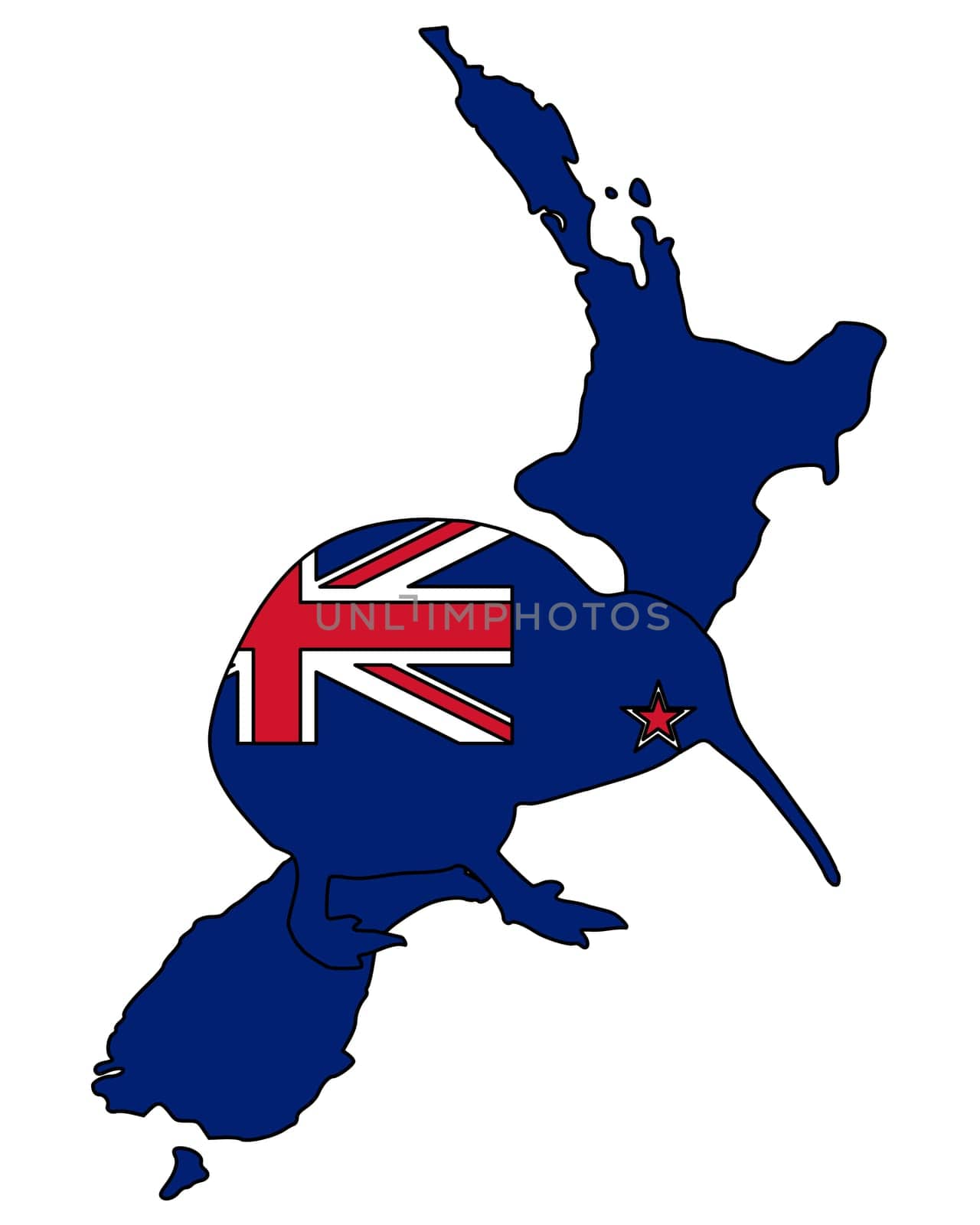 New Zealand's Kiwi