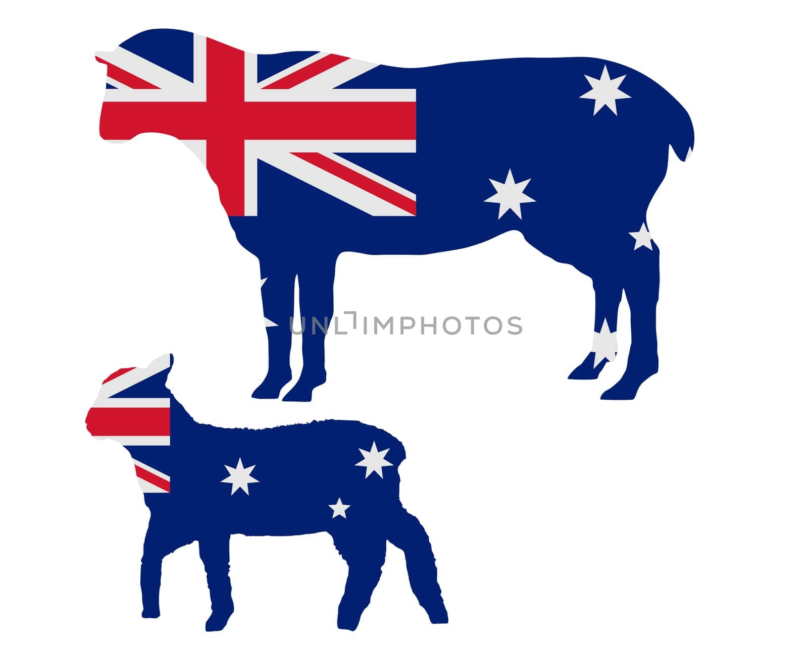 Australia's Sheep