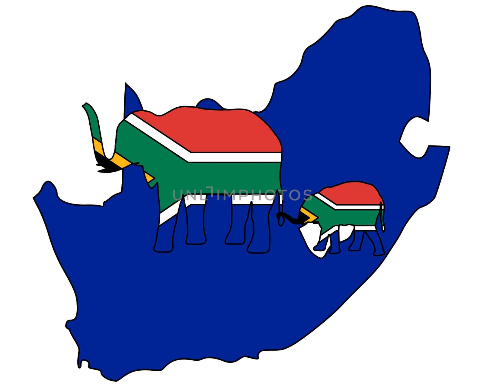 South African Elephants