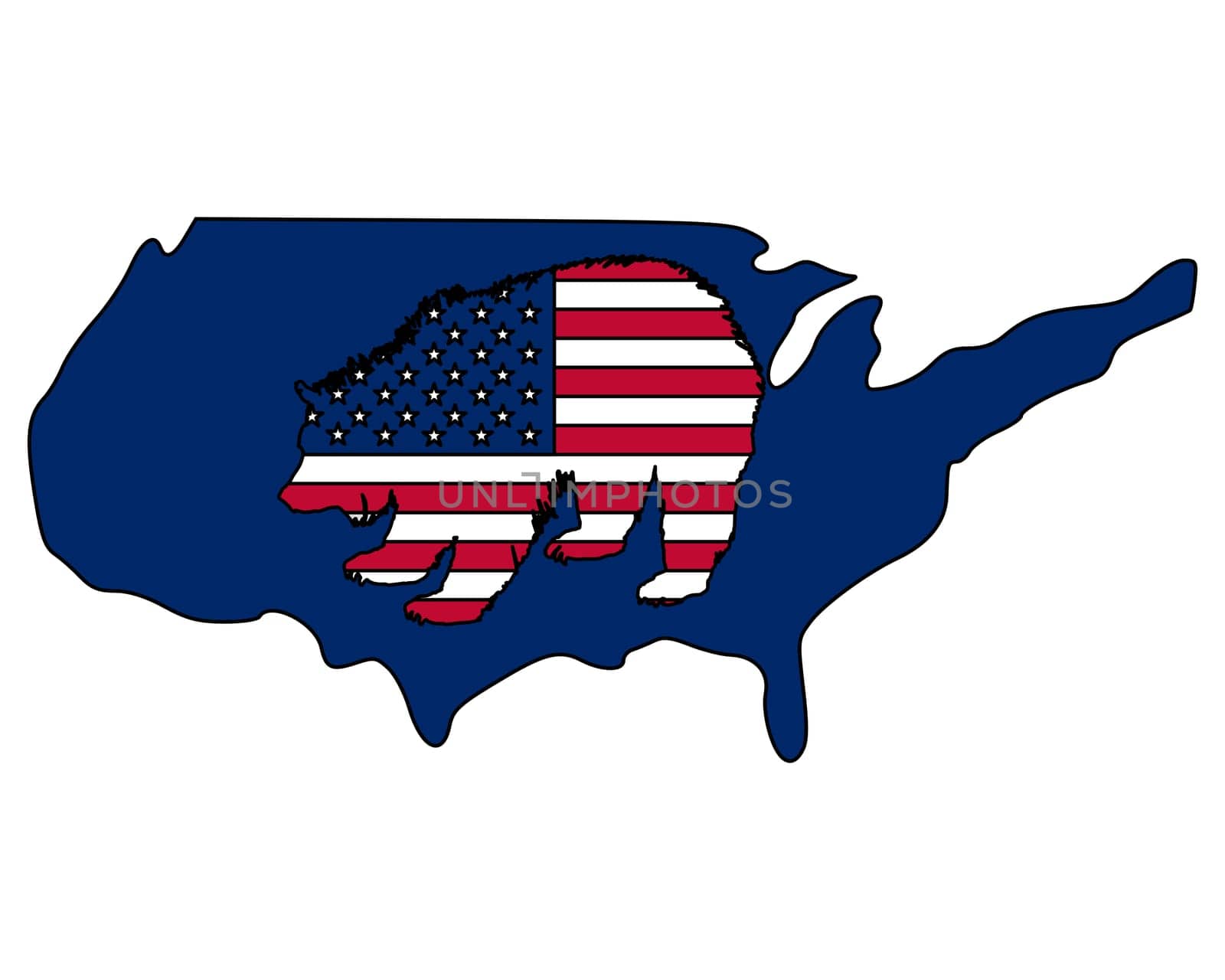 American Grizzly