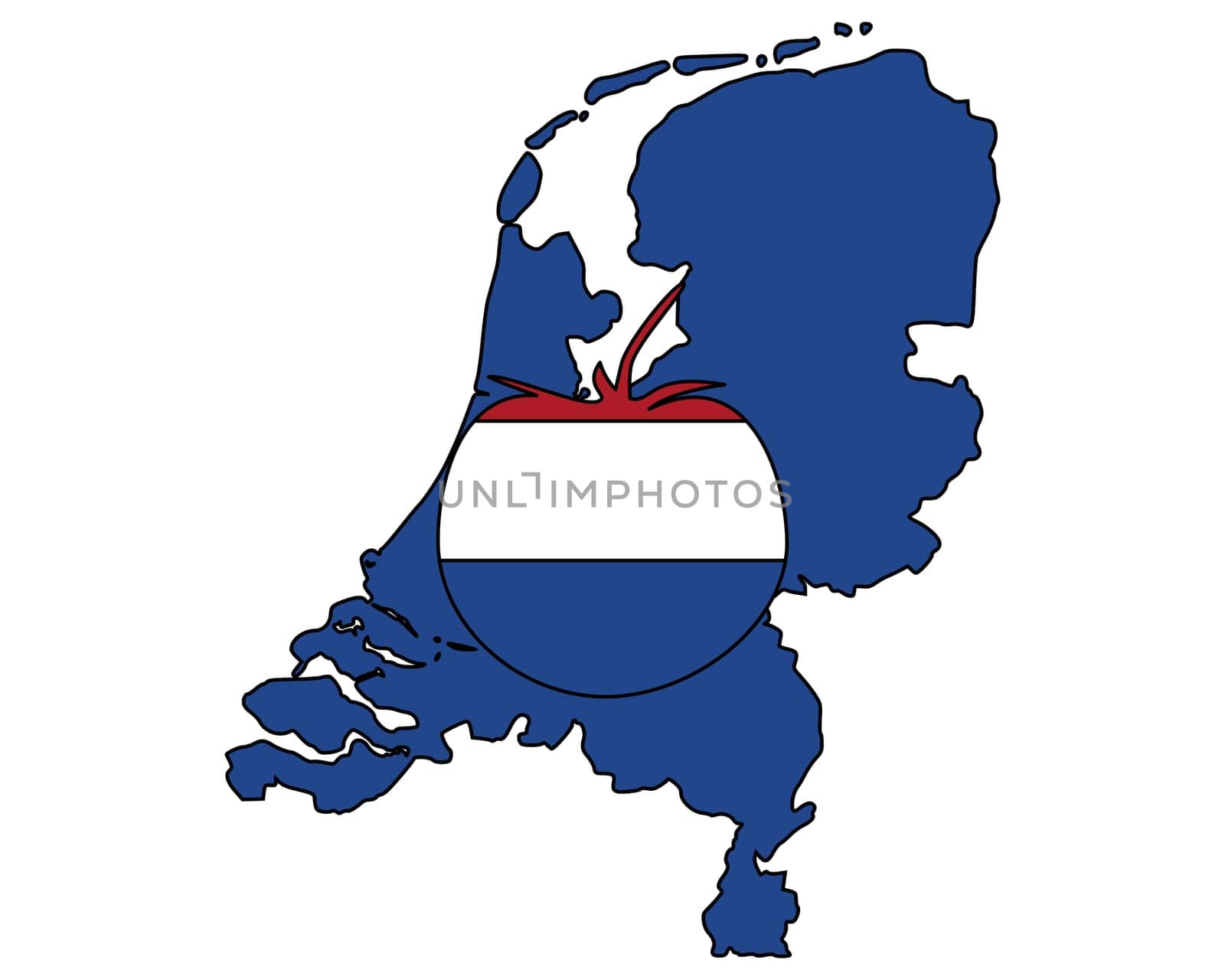 Dutch tomato