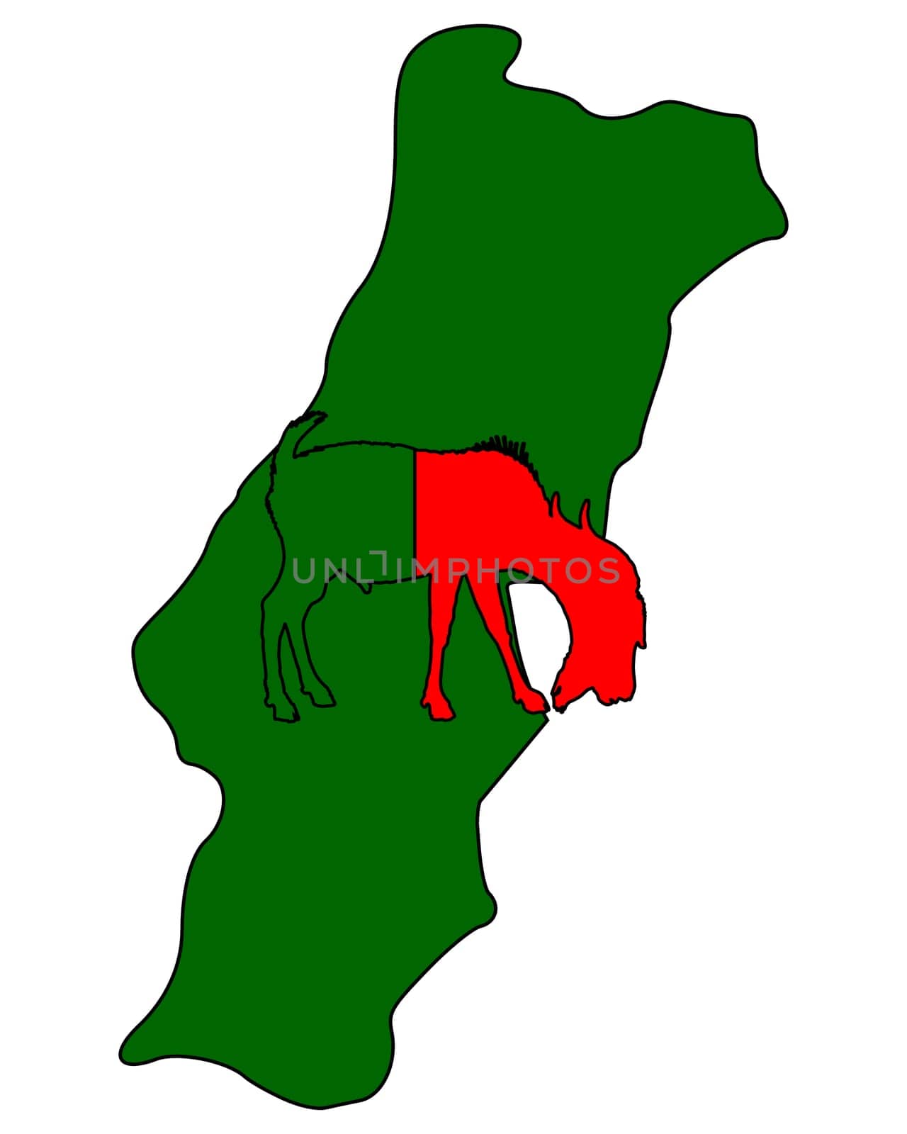 Portuguese billy goat