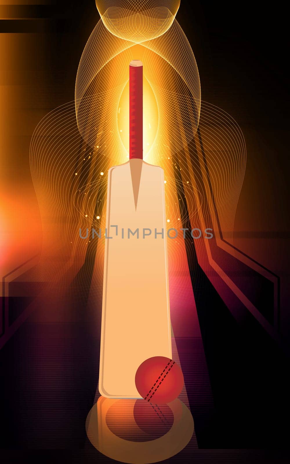 cricket bat