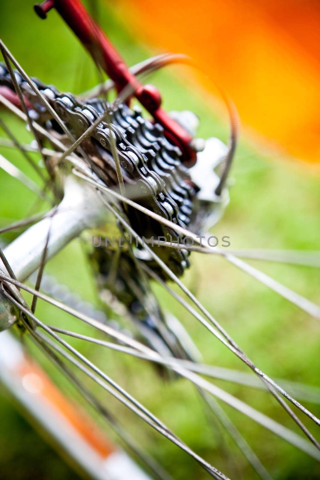 Racing bike on grass close-up