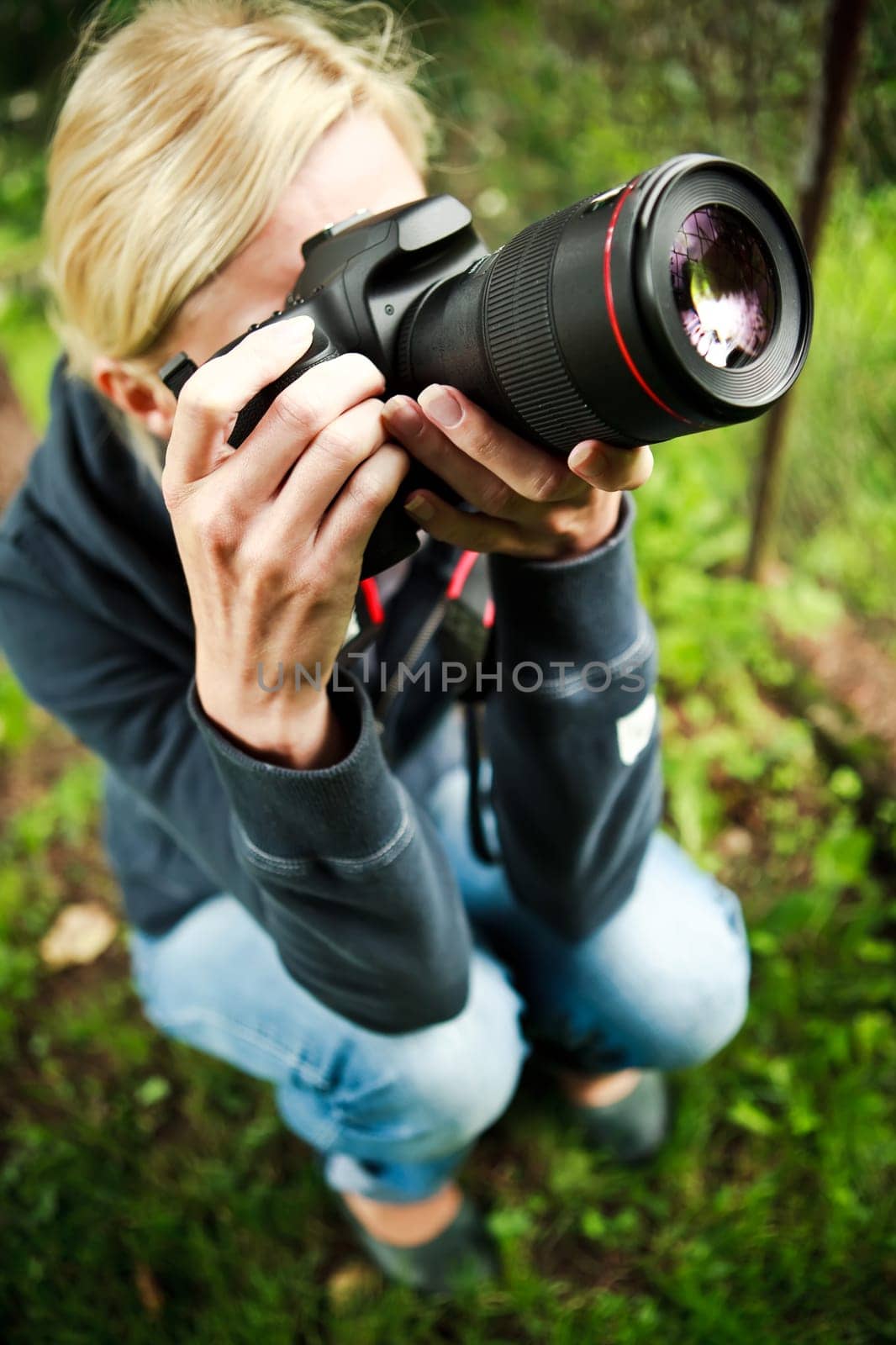 Nature photographer at work