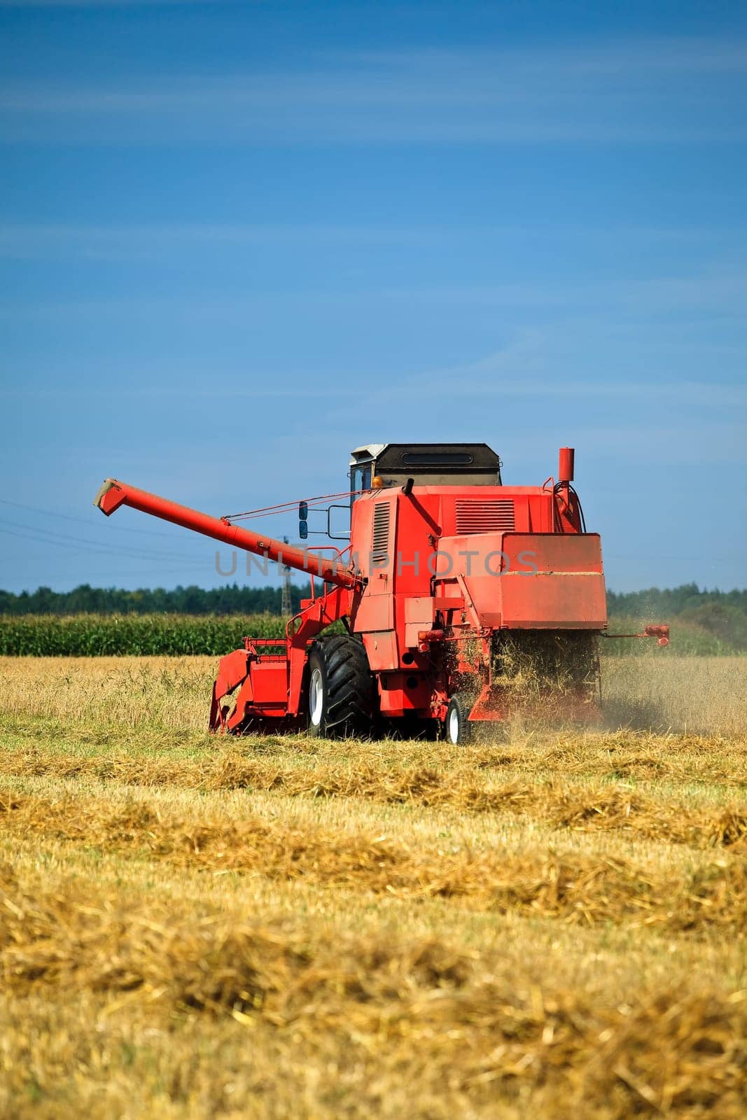 Combine harvester working