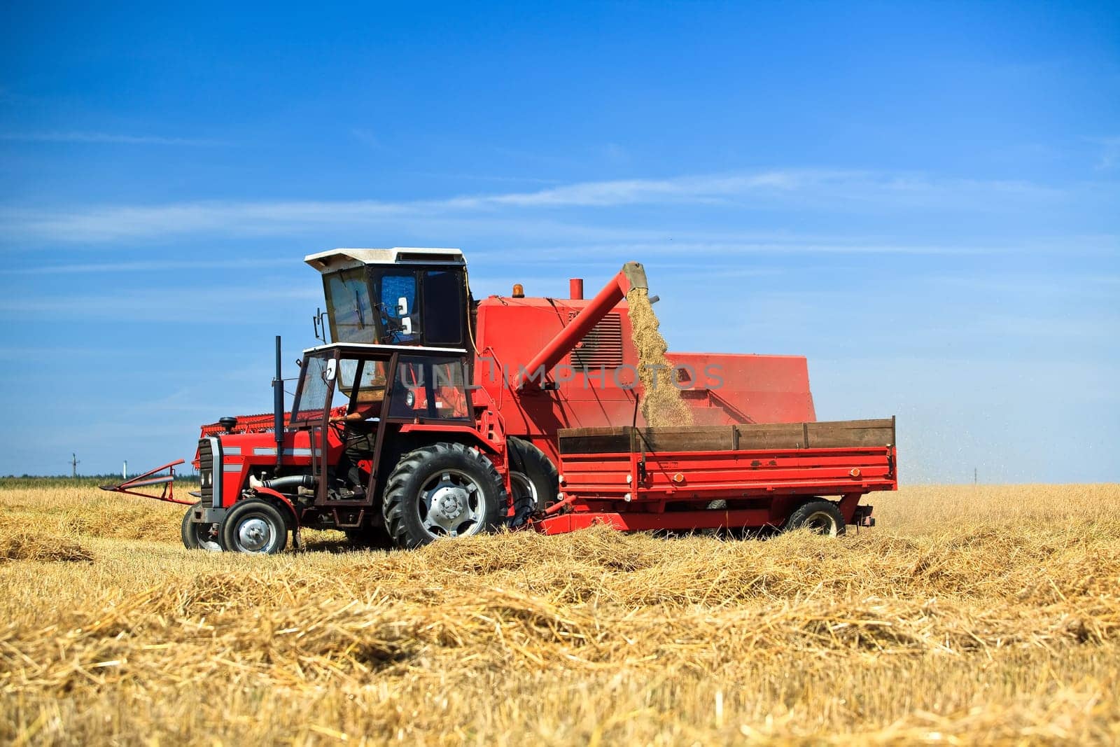 Combine harvester working