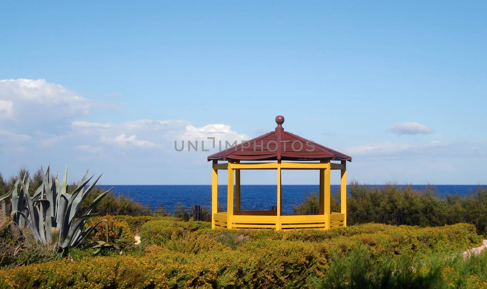 The Wooden Pavilion