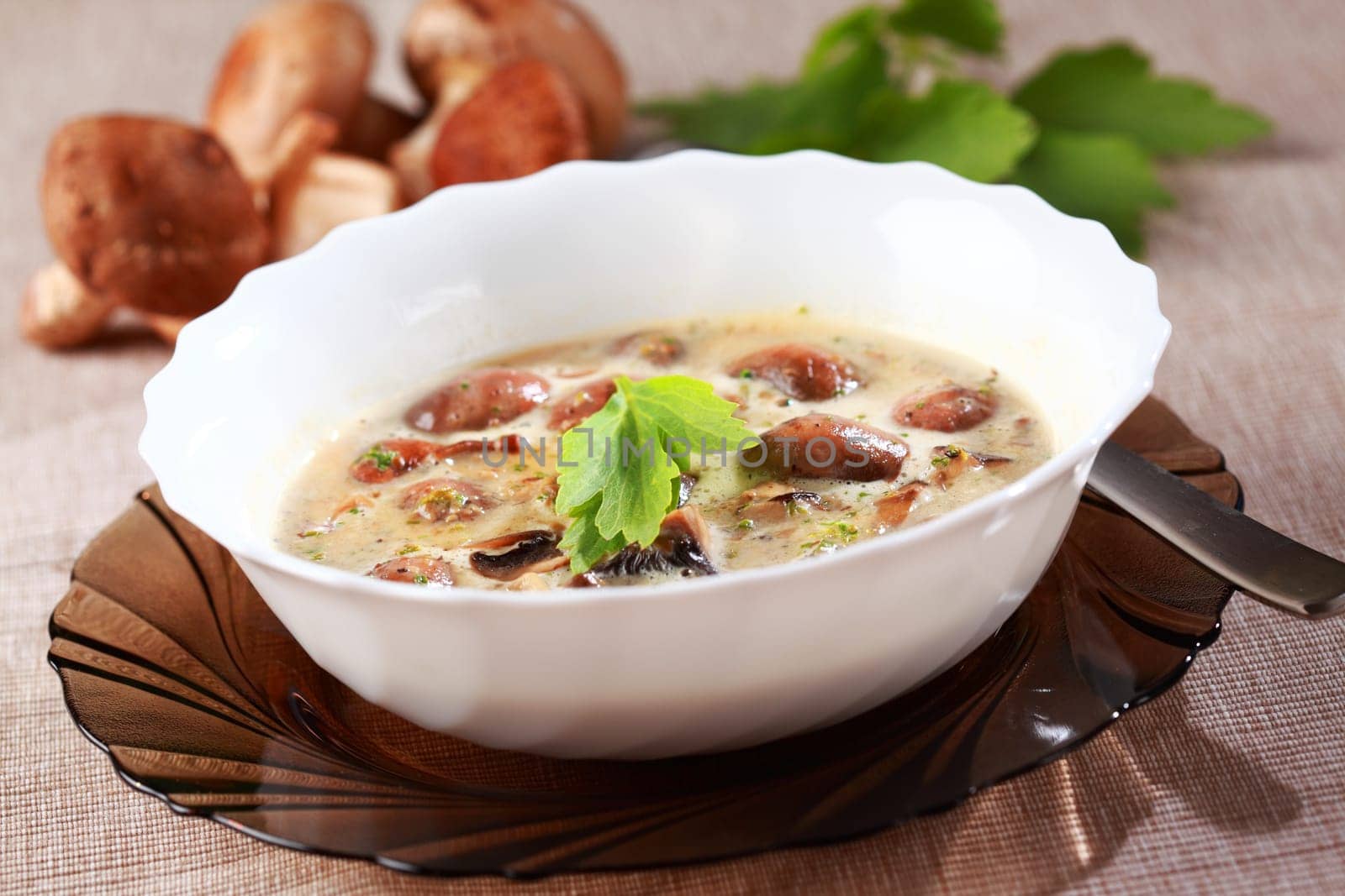 Mushroom soup