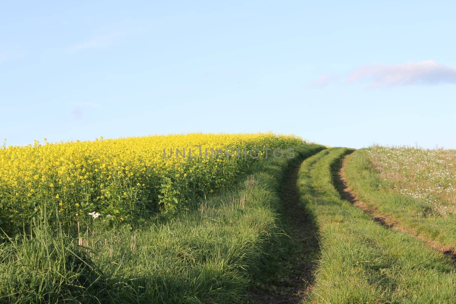 Dirt road