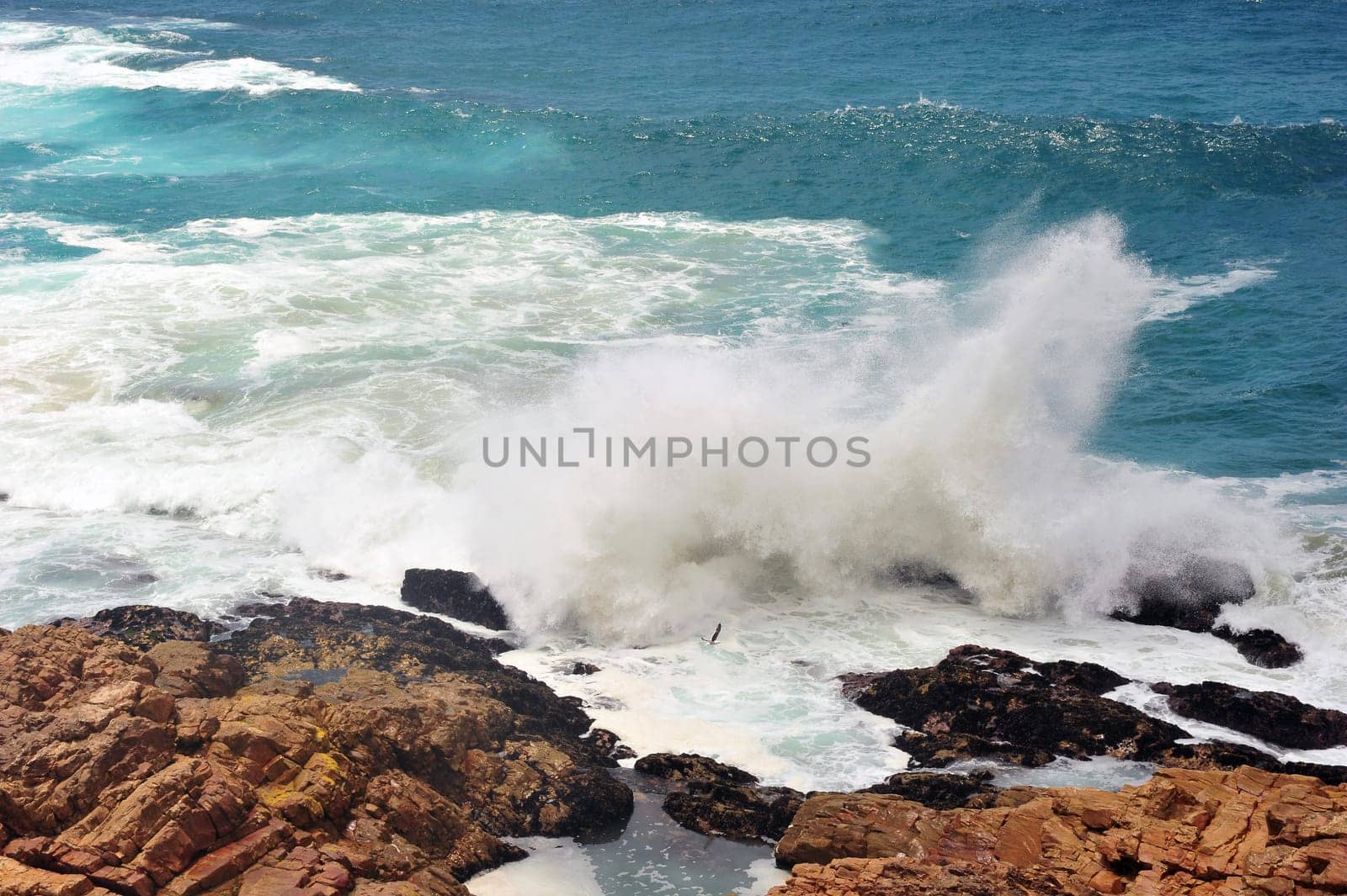 Wave Impact