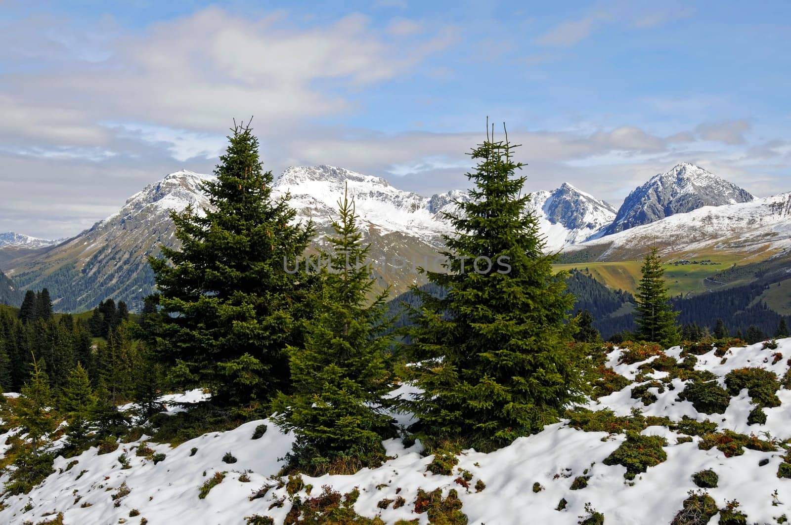 Mountain landscape Arosa III
