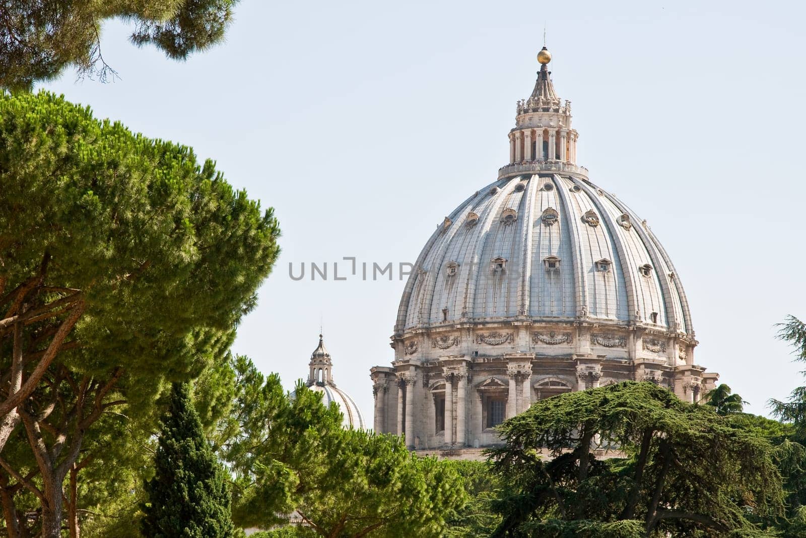 St. Peter's Basilica