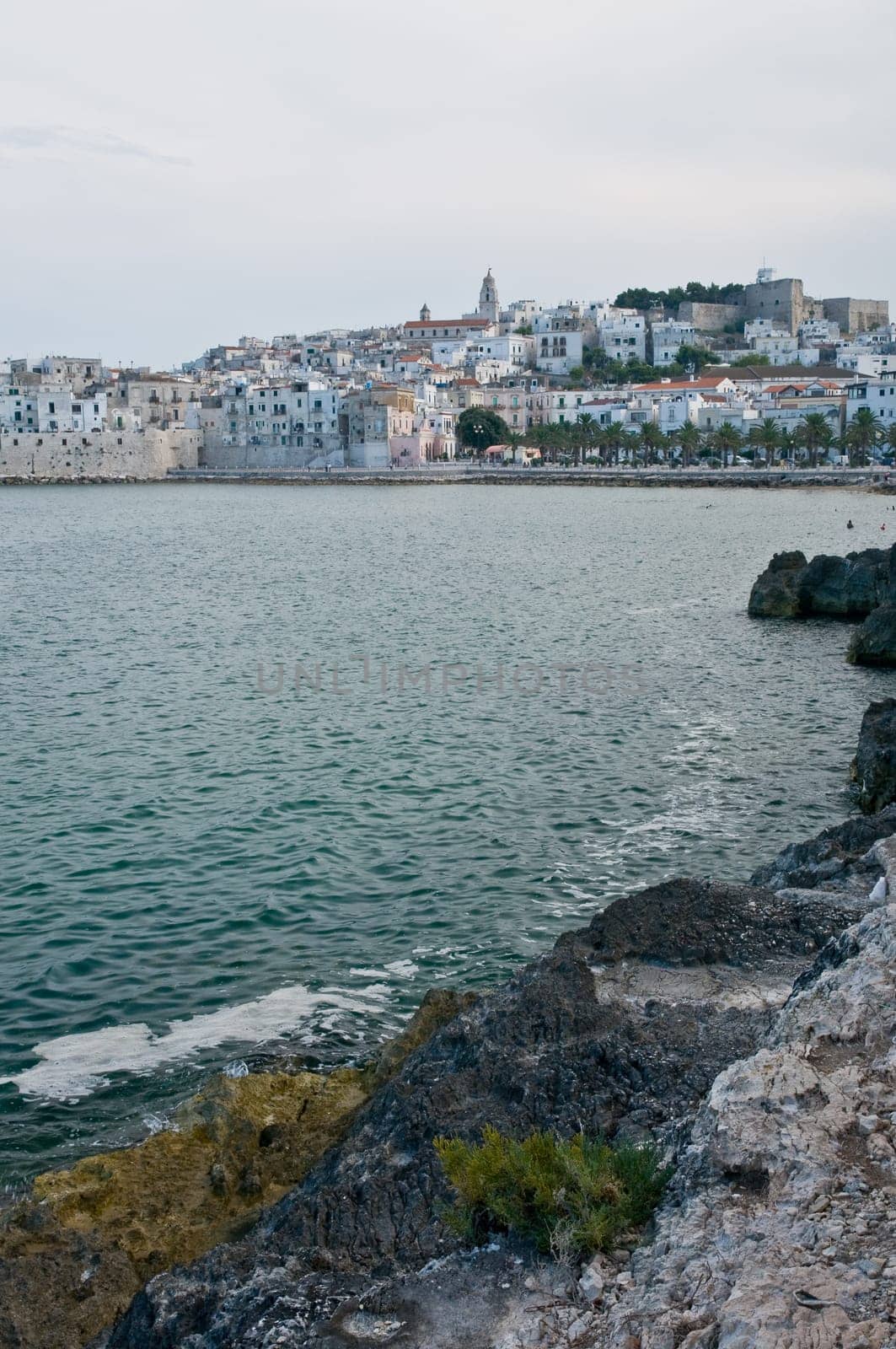 Vieste