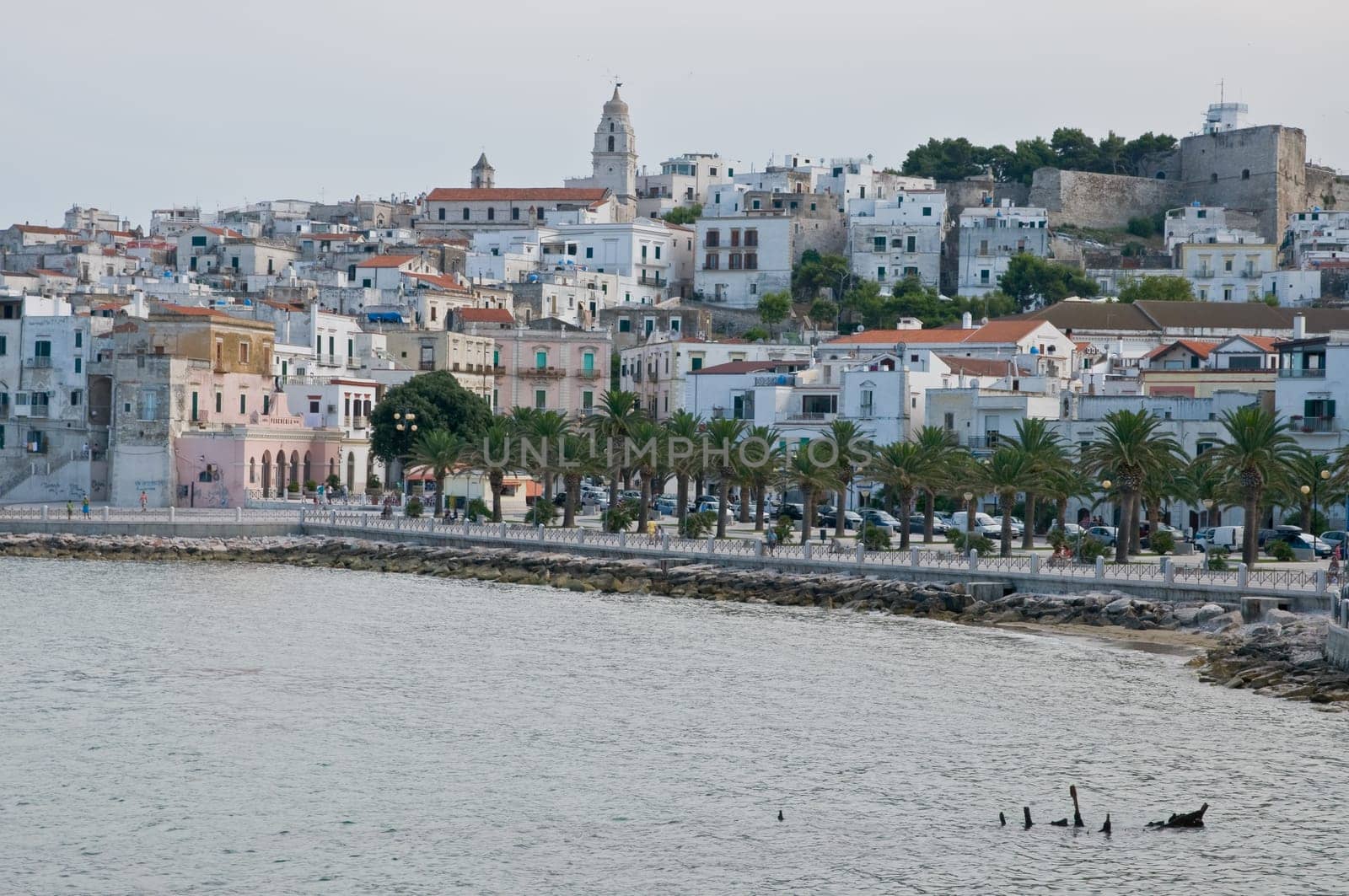 Vieste