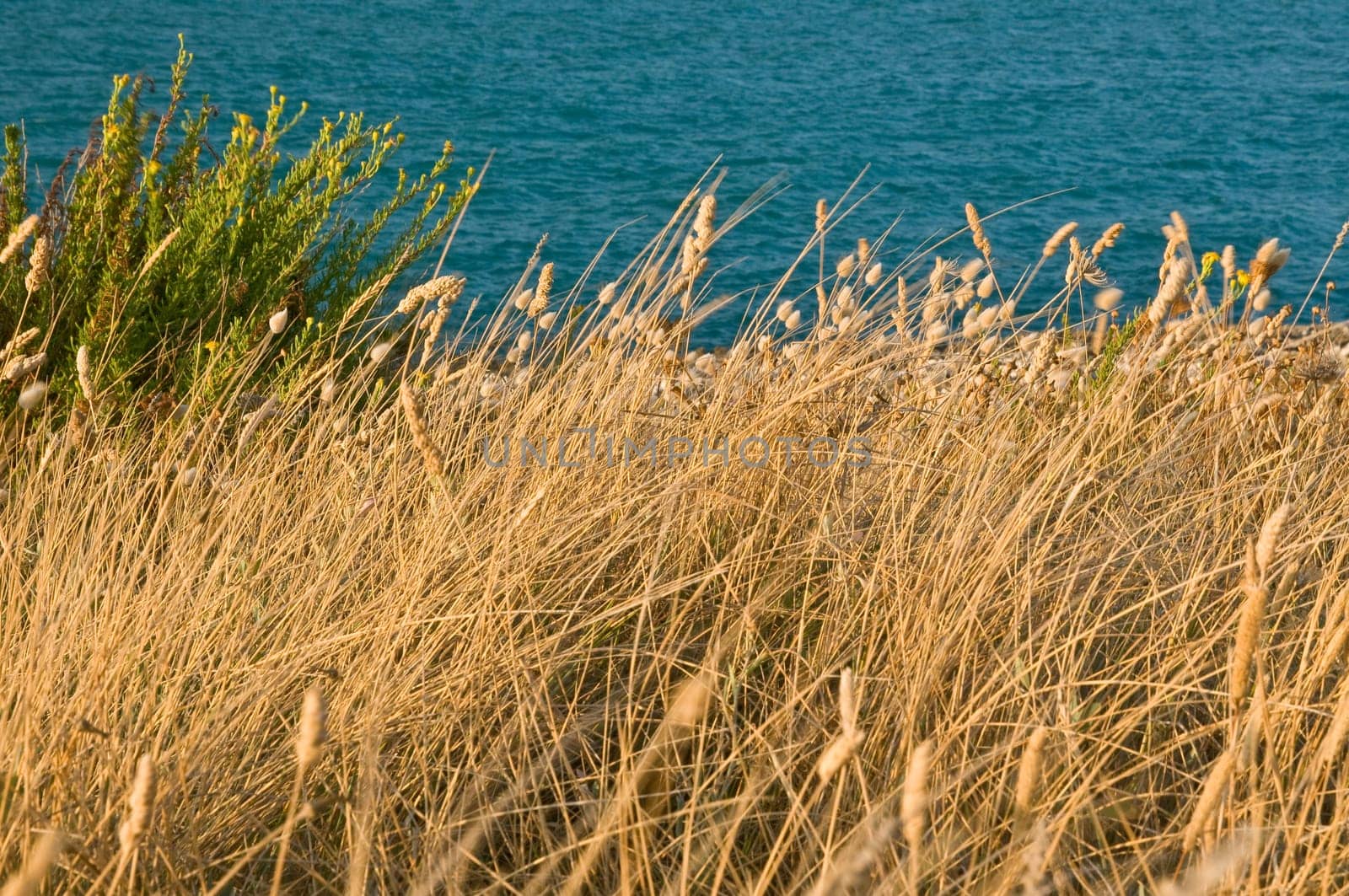 By the sea