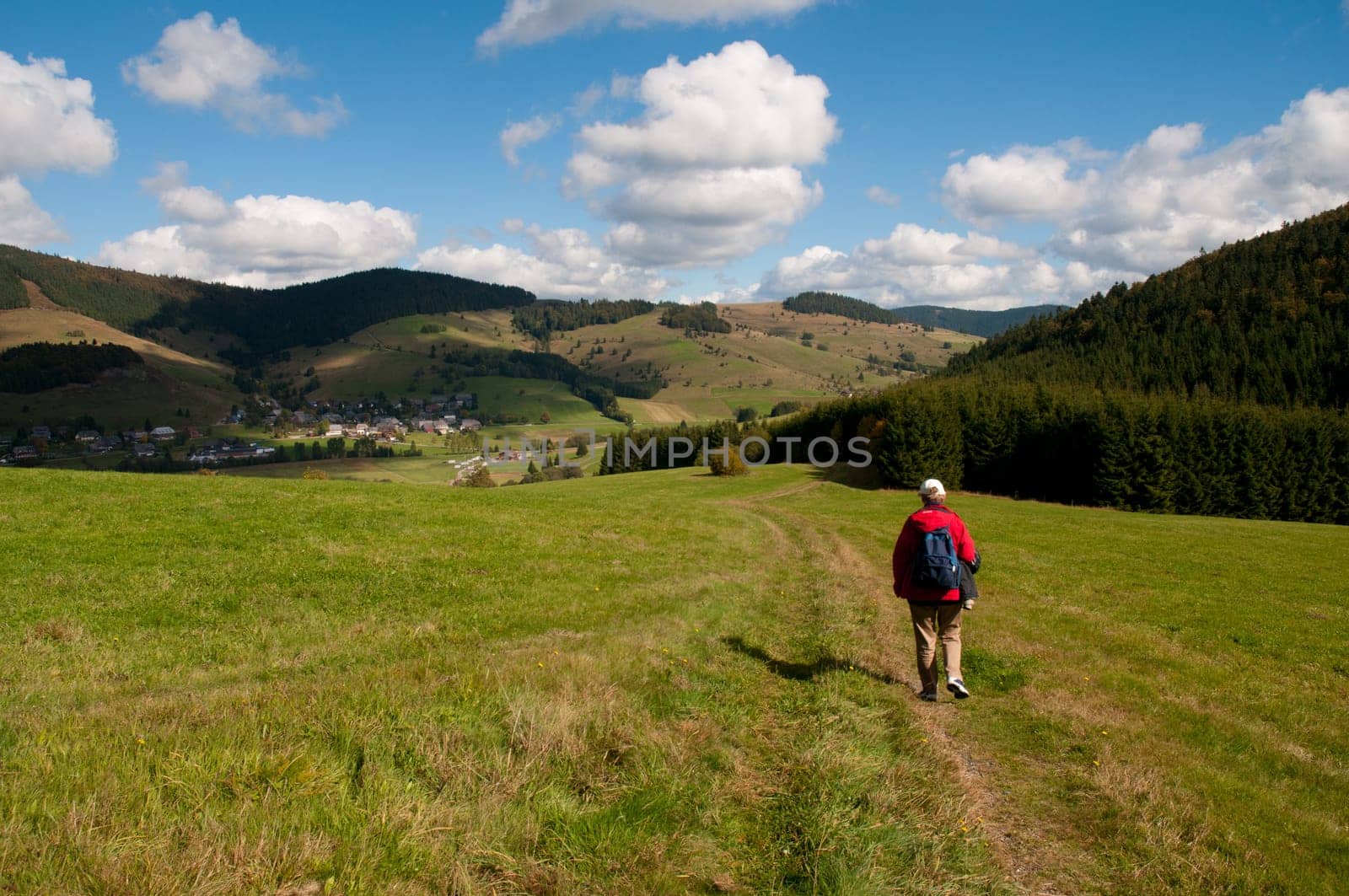 Hiker on a meadow in the Black Forest