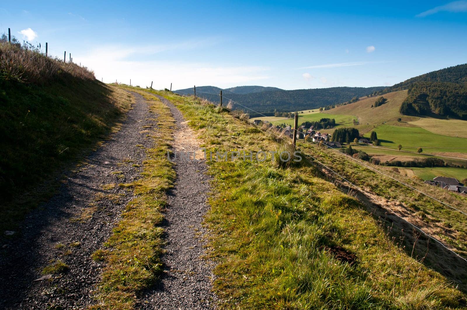Hiking trail in the Black Forest