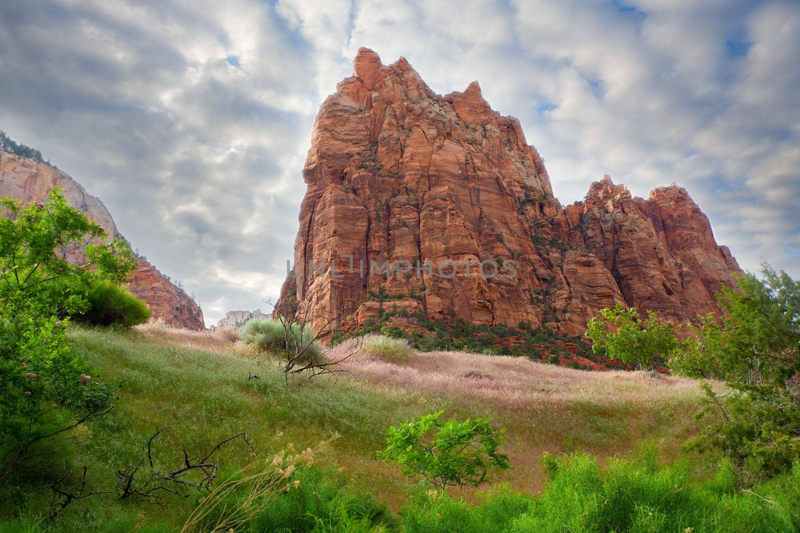 Zion