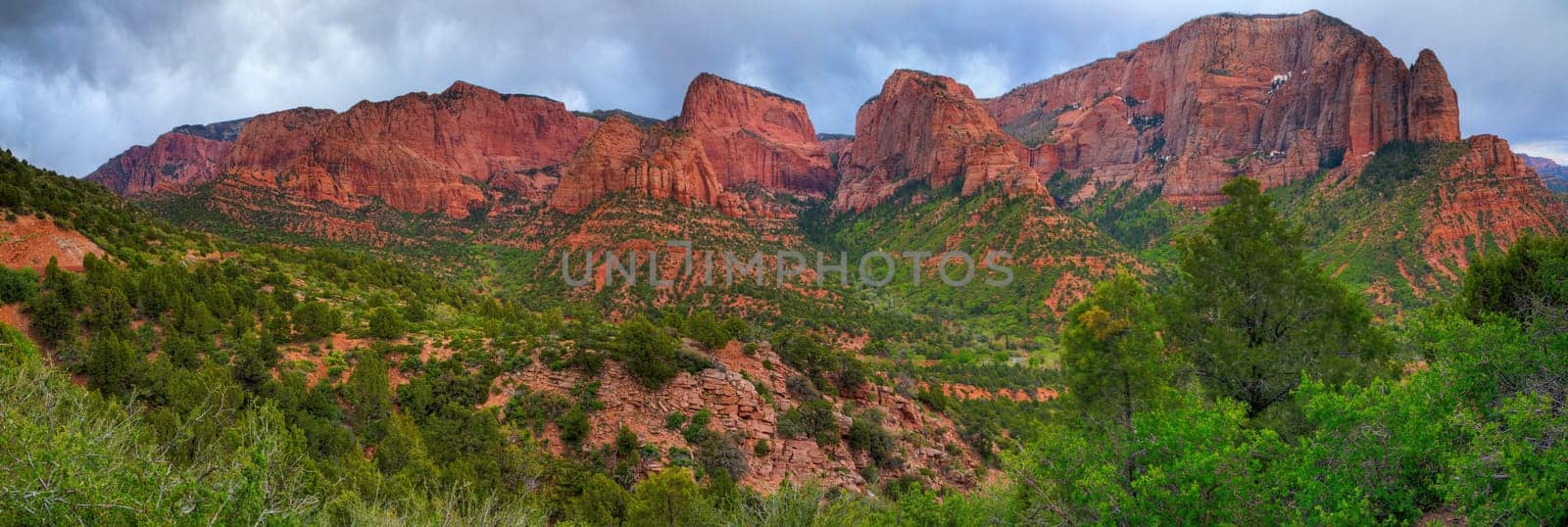 Zion National Park