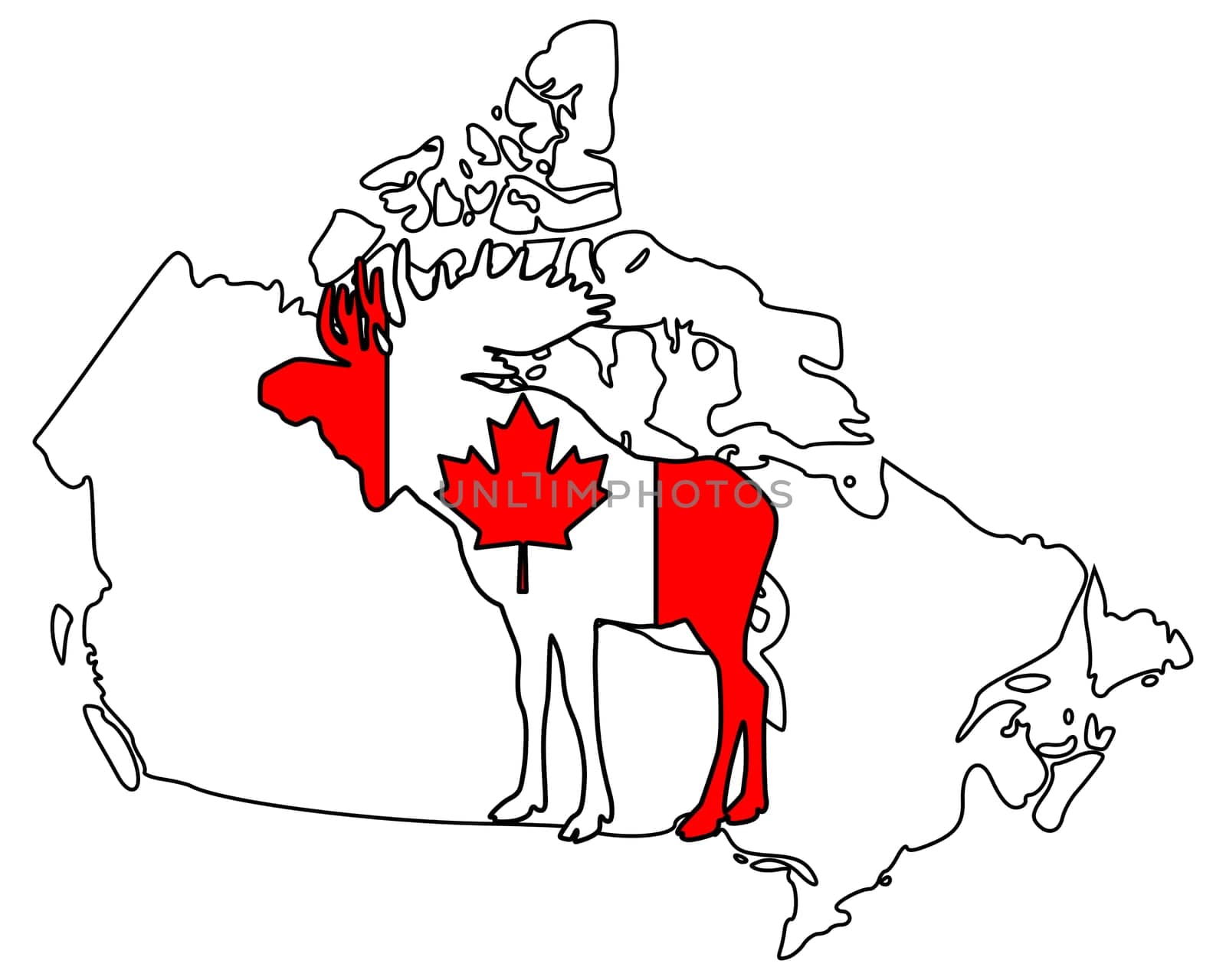 Canadian Moose