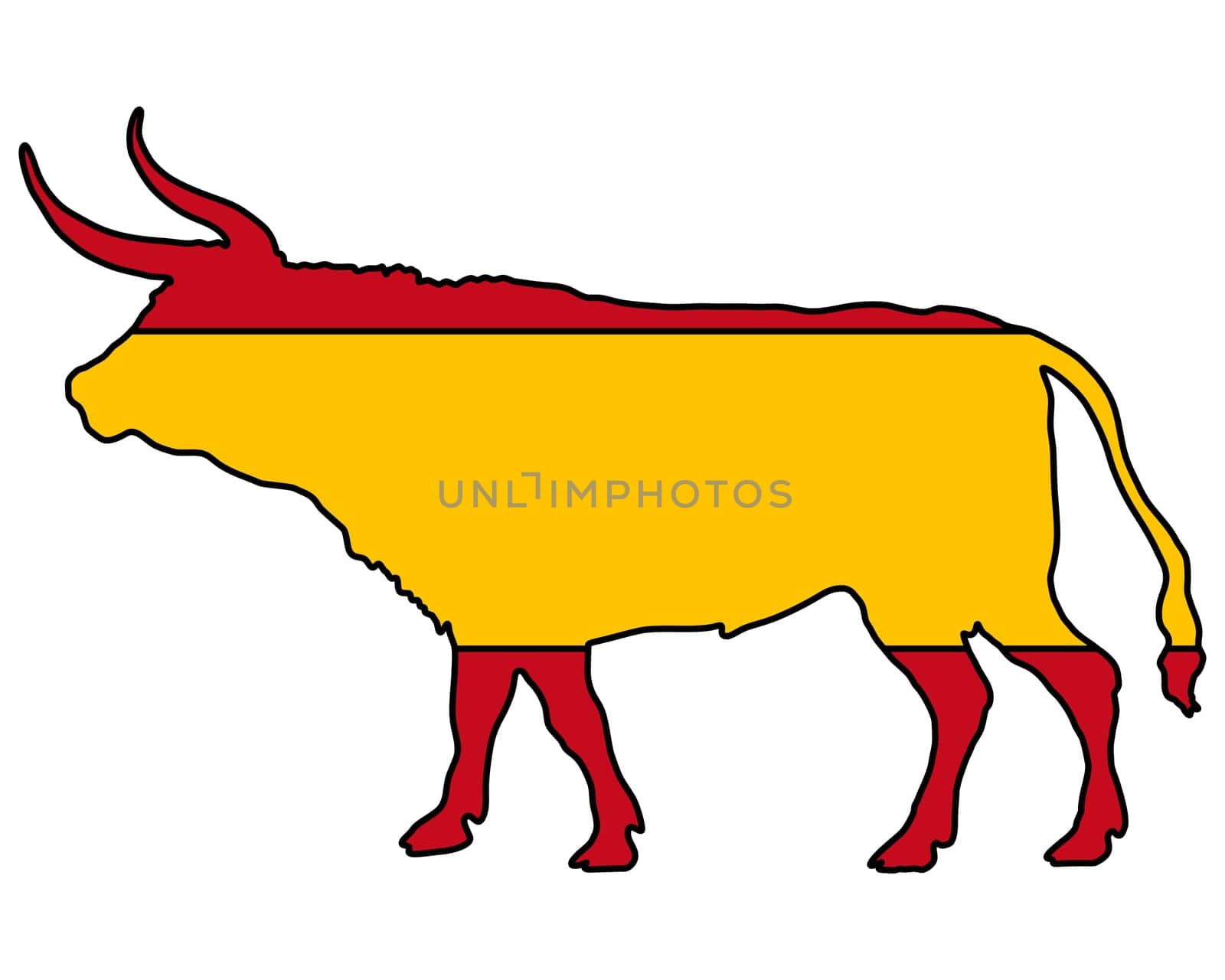 Spanish Bull
