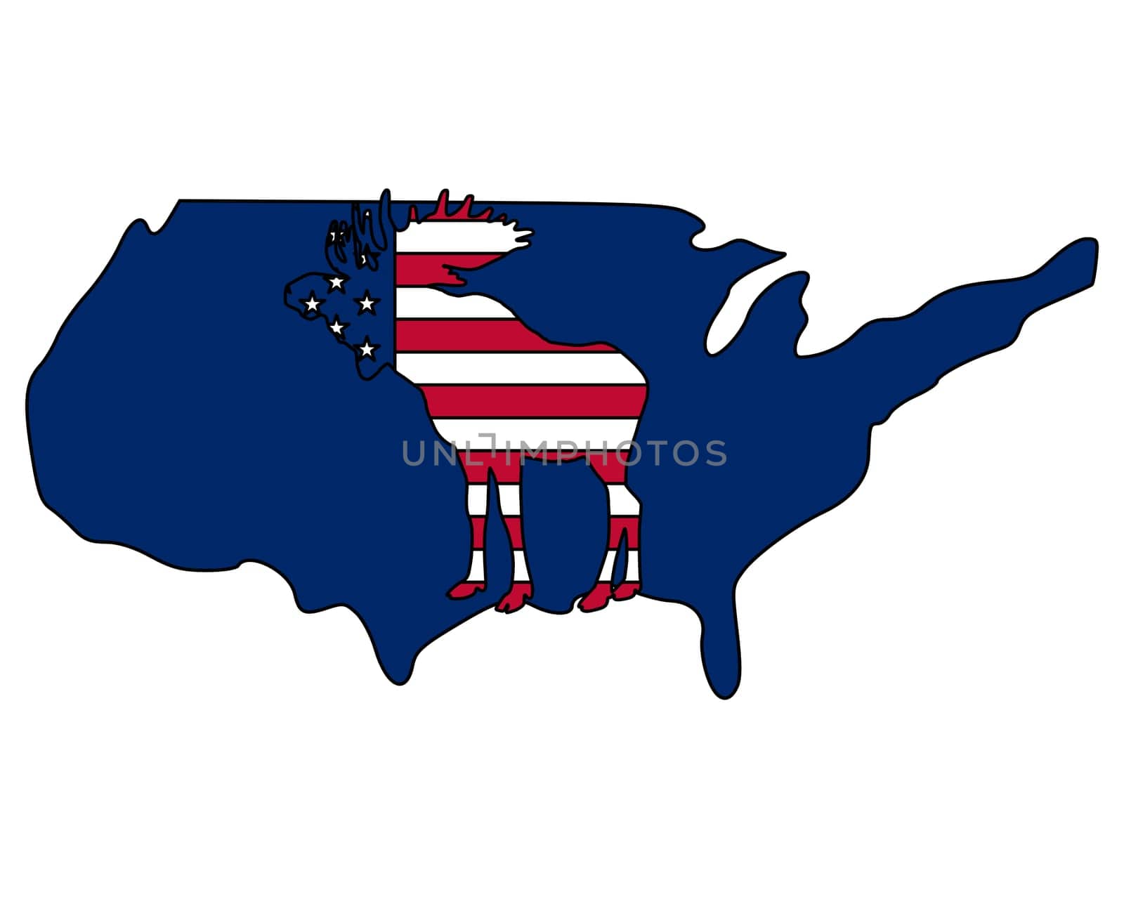 American Moose