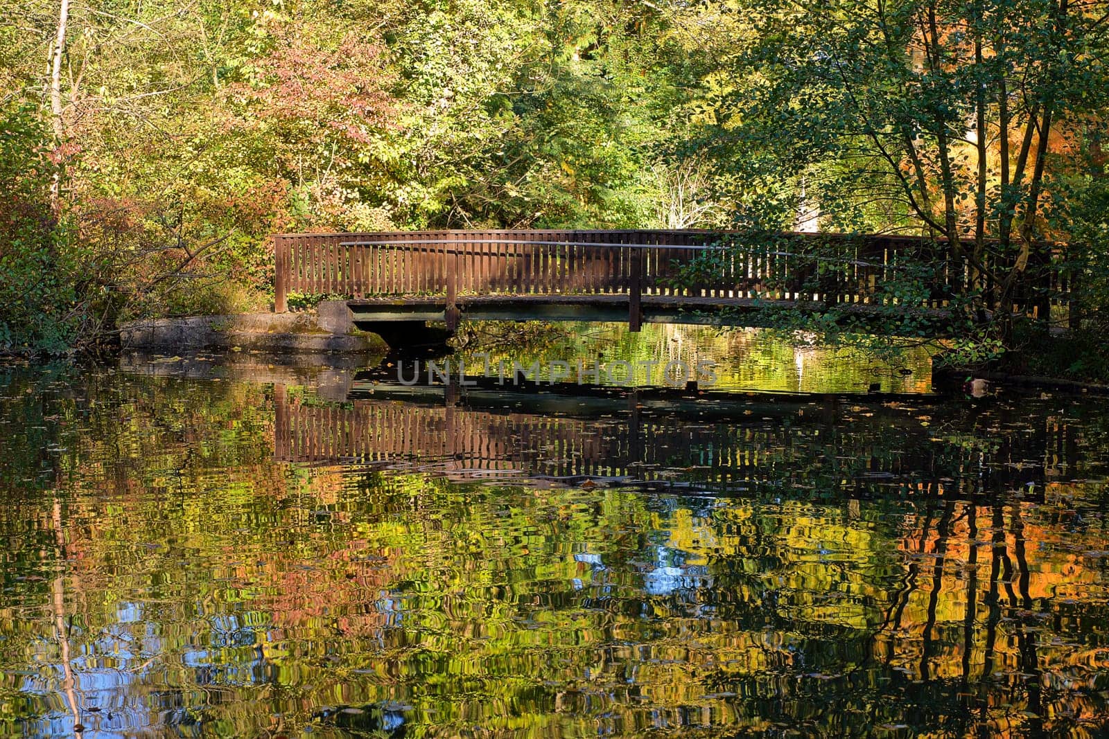 The bridge over the pond