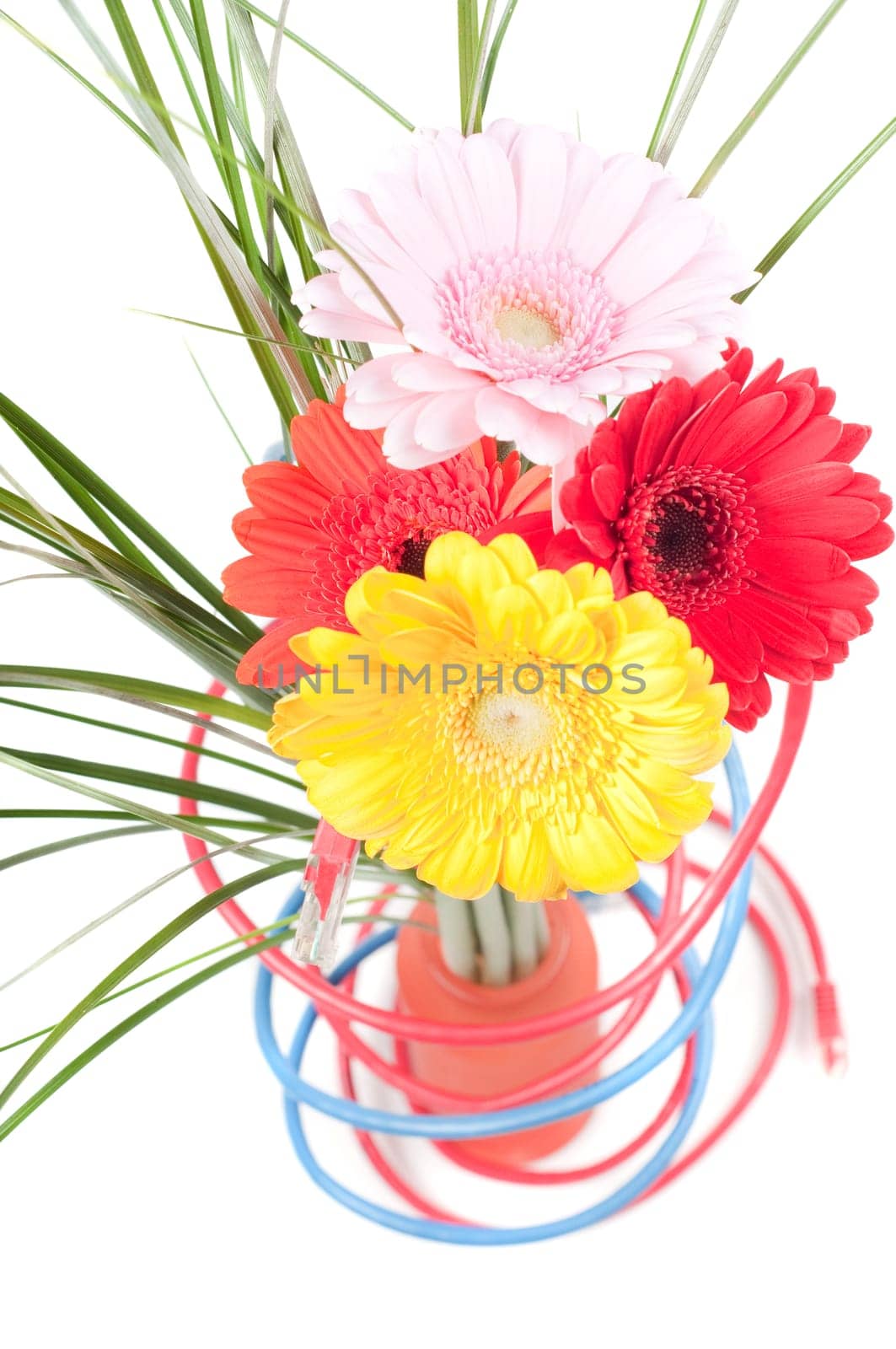 Wires and flowers concepts