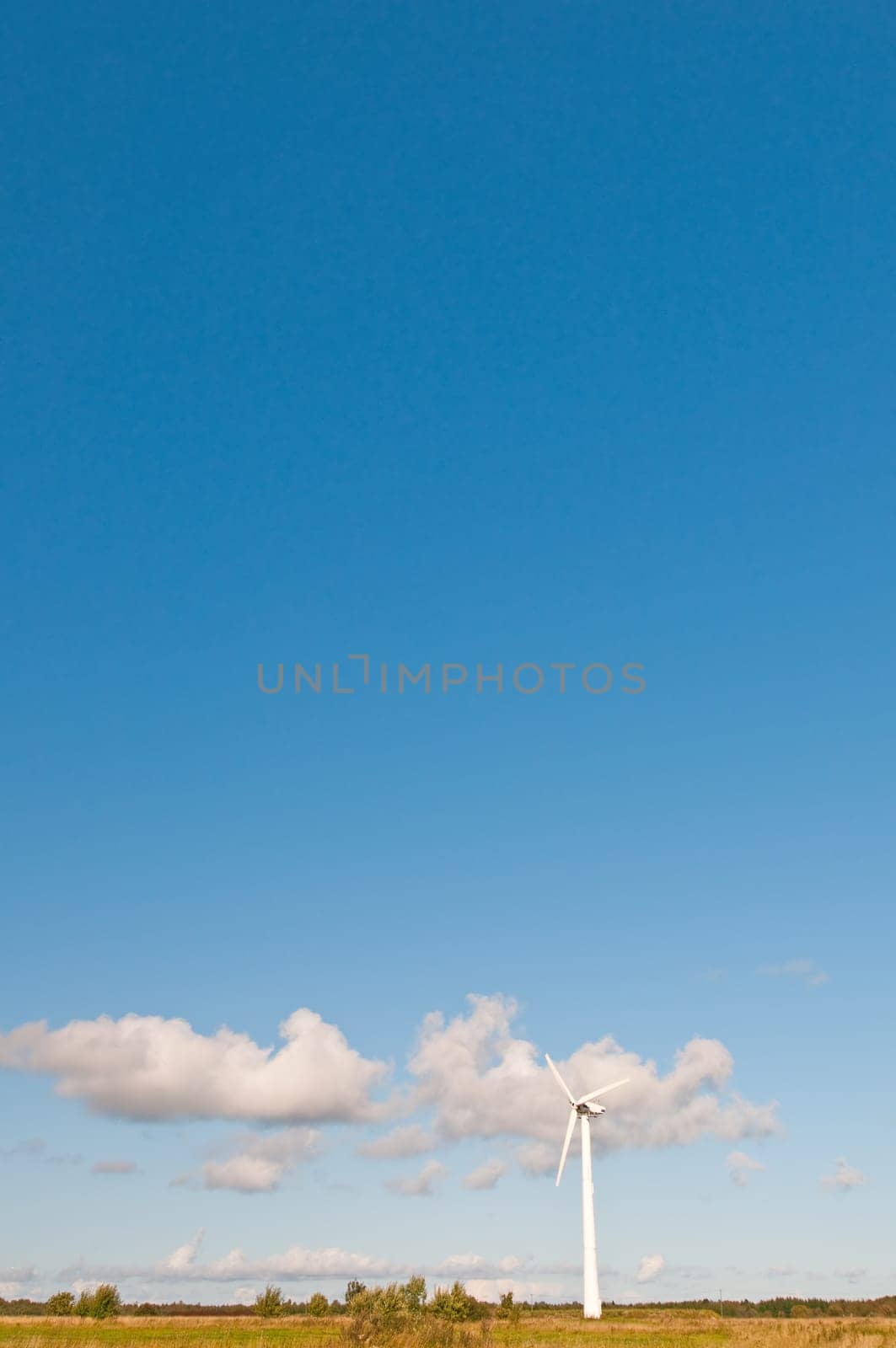 Windmill in nature