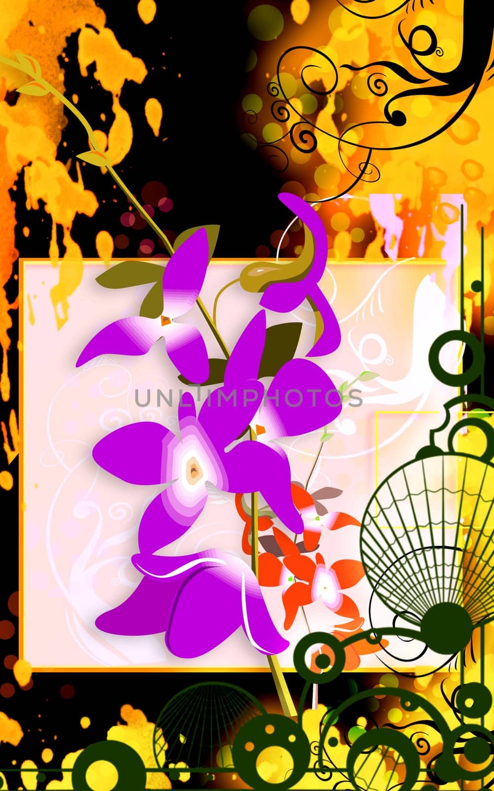 Illustration of orchid