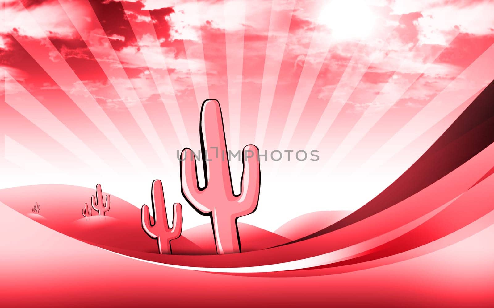 cactus in a desert under sun