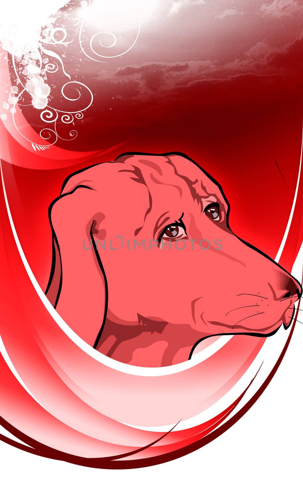 Illustration of a Labrador