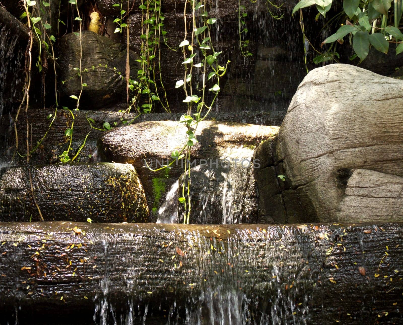 (water splash) or water or (water glass) or (water liquid) or (water clean)