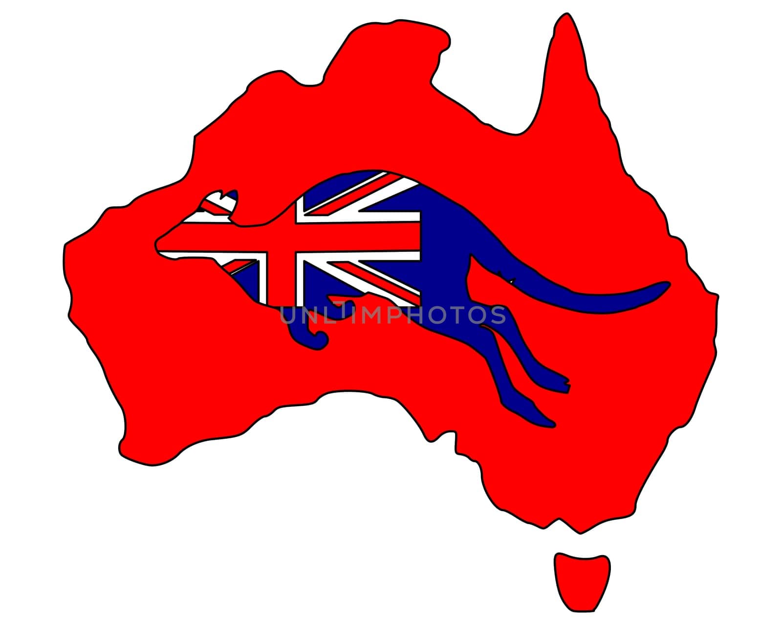 Australian Kangaroo