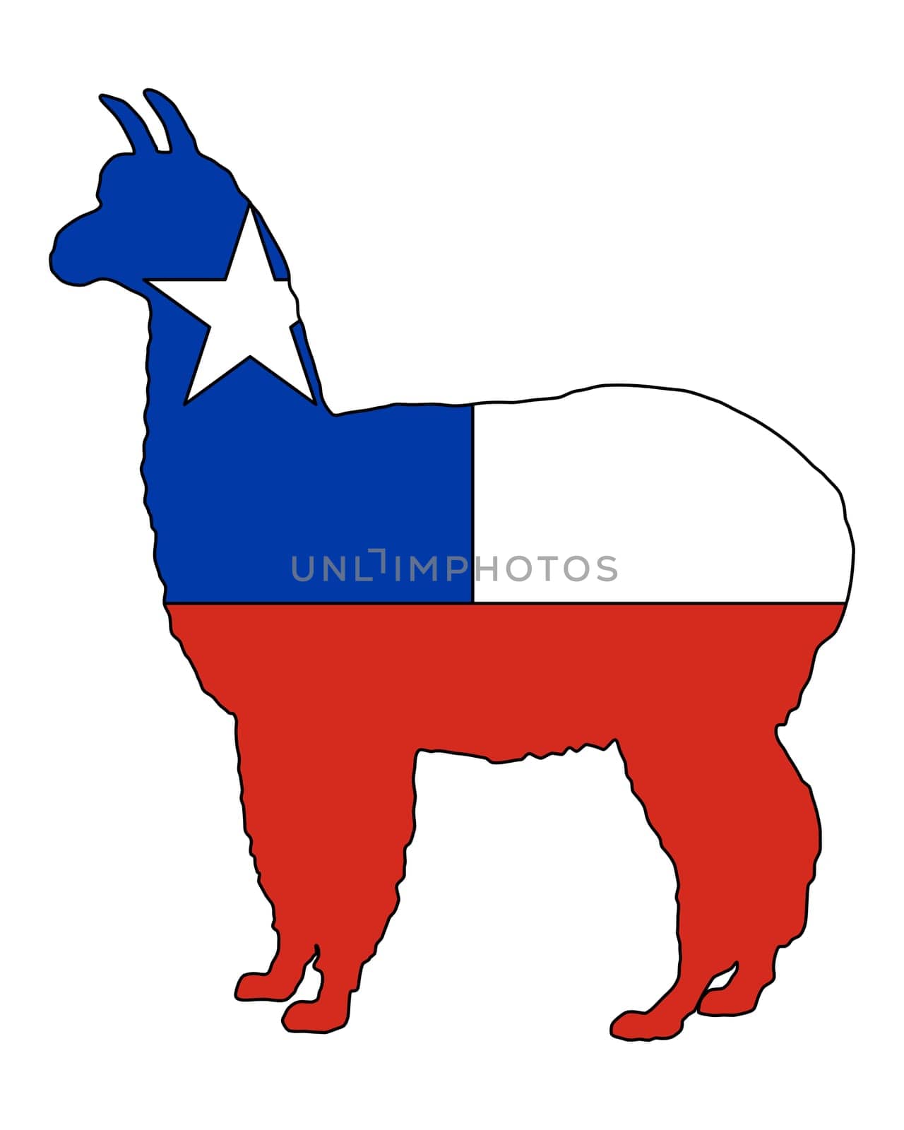 Chilean Alpaca
