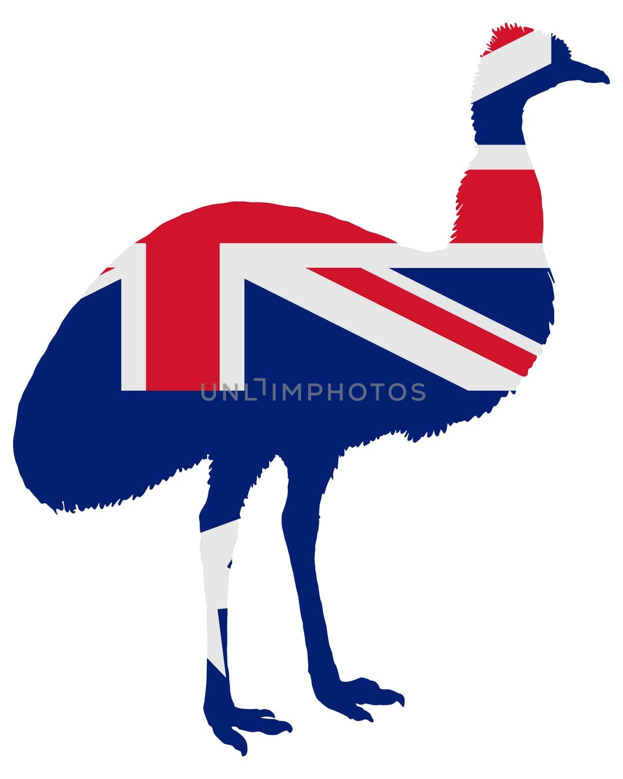 Australian Emu